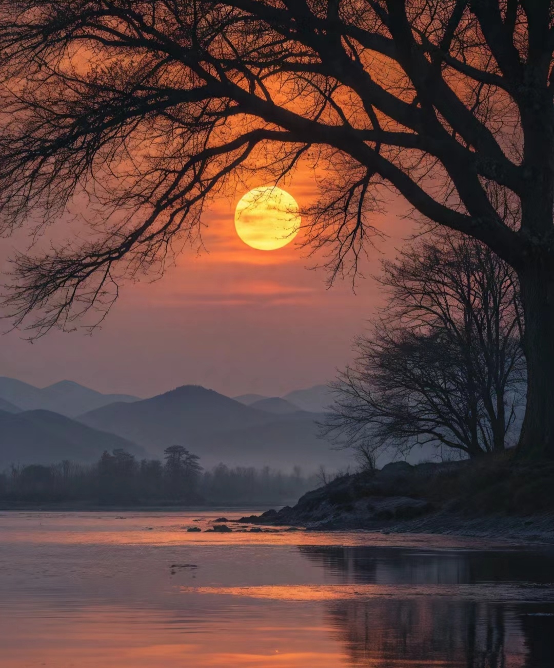 在人生的旅途中,我们总会遇到一些挫折和困难,让我们感到无助和孤独