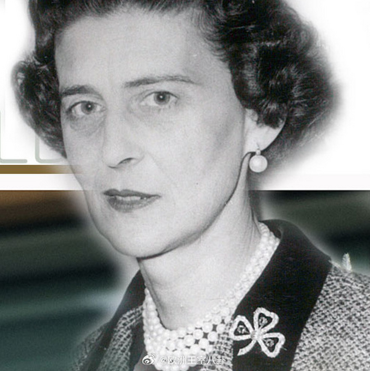 英国肯特迈克尔王妃玛丽-克里斯汀有一枚三叶草胸针,设计比较简单啦