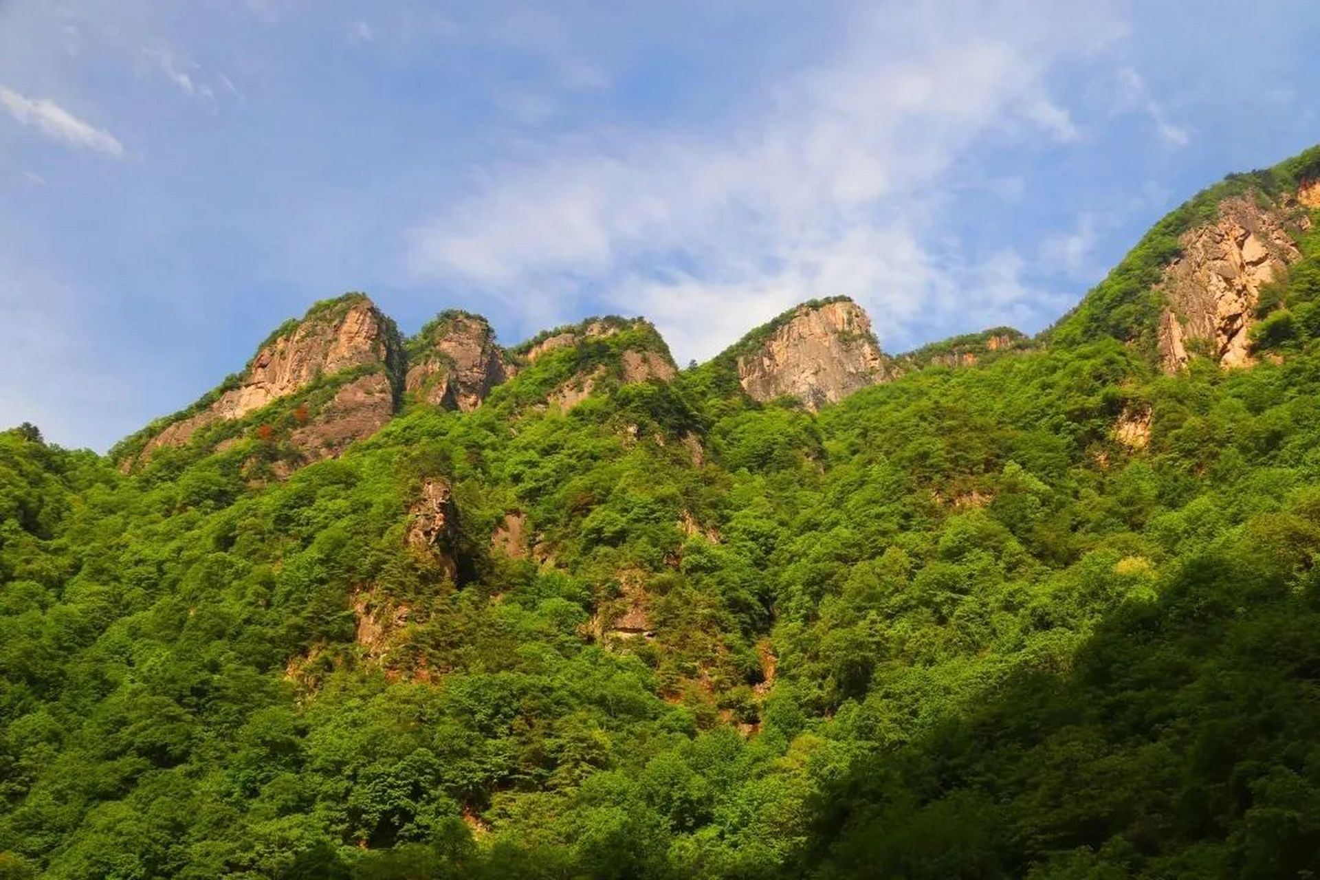 青峰峡国家森林公园图片