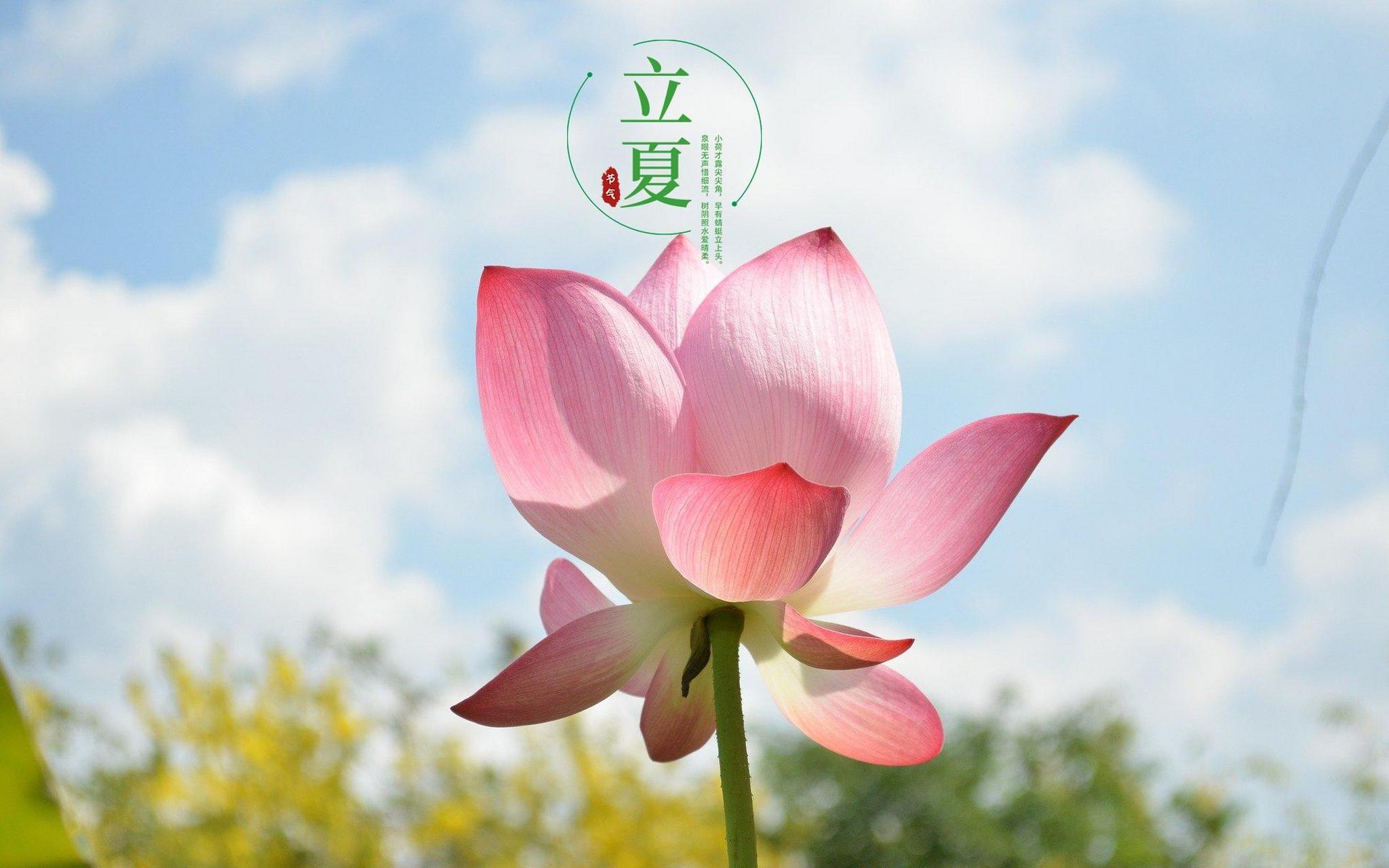 在中国的传统中,立夏不仅仅是一个气候的转变点,它还是继承和传递健康