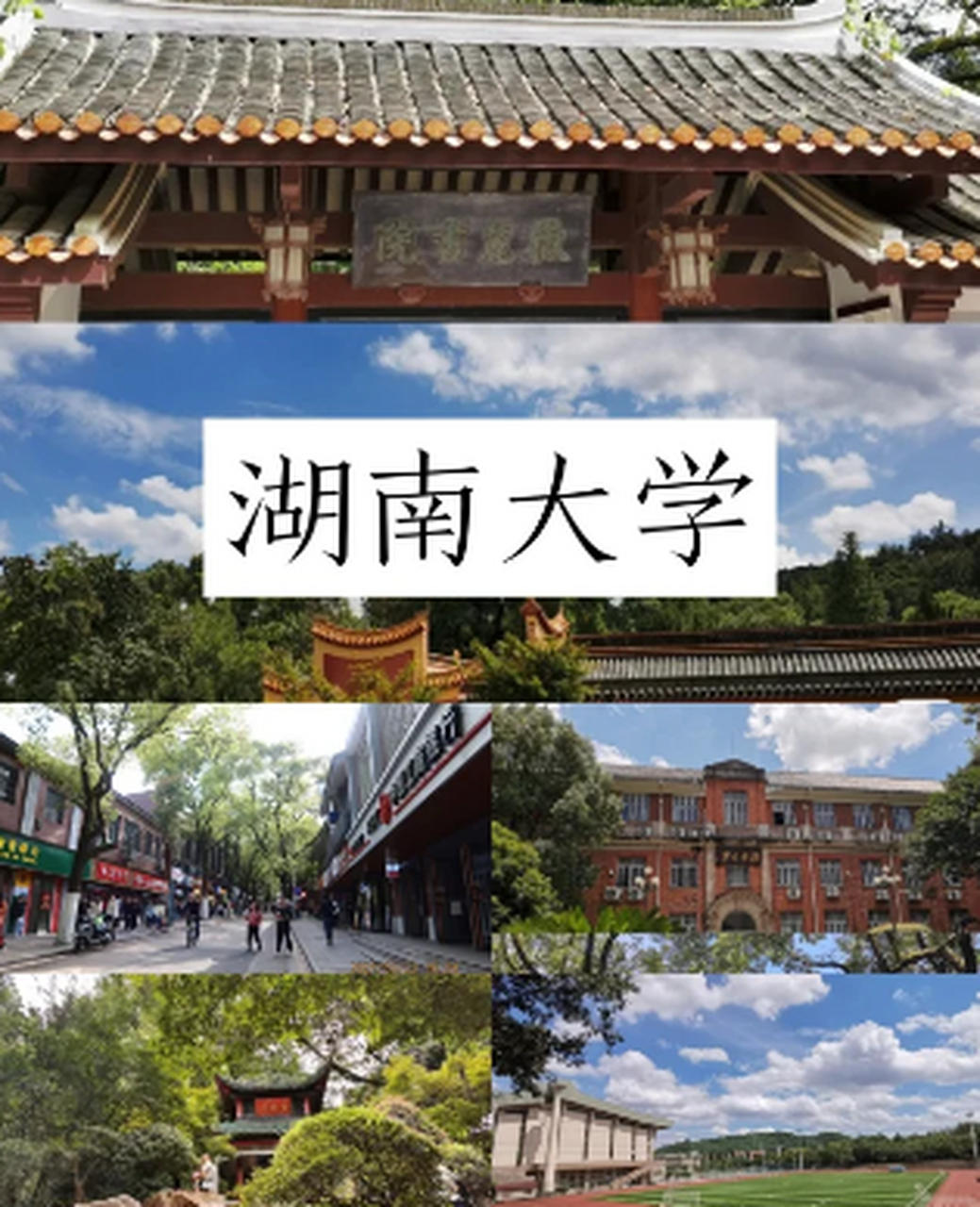 湖南大学是985还是211图片