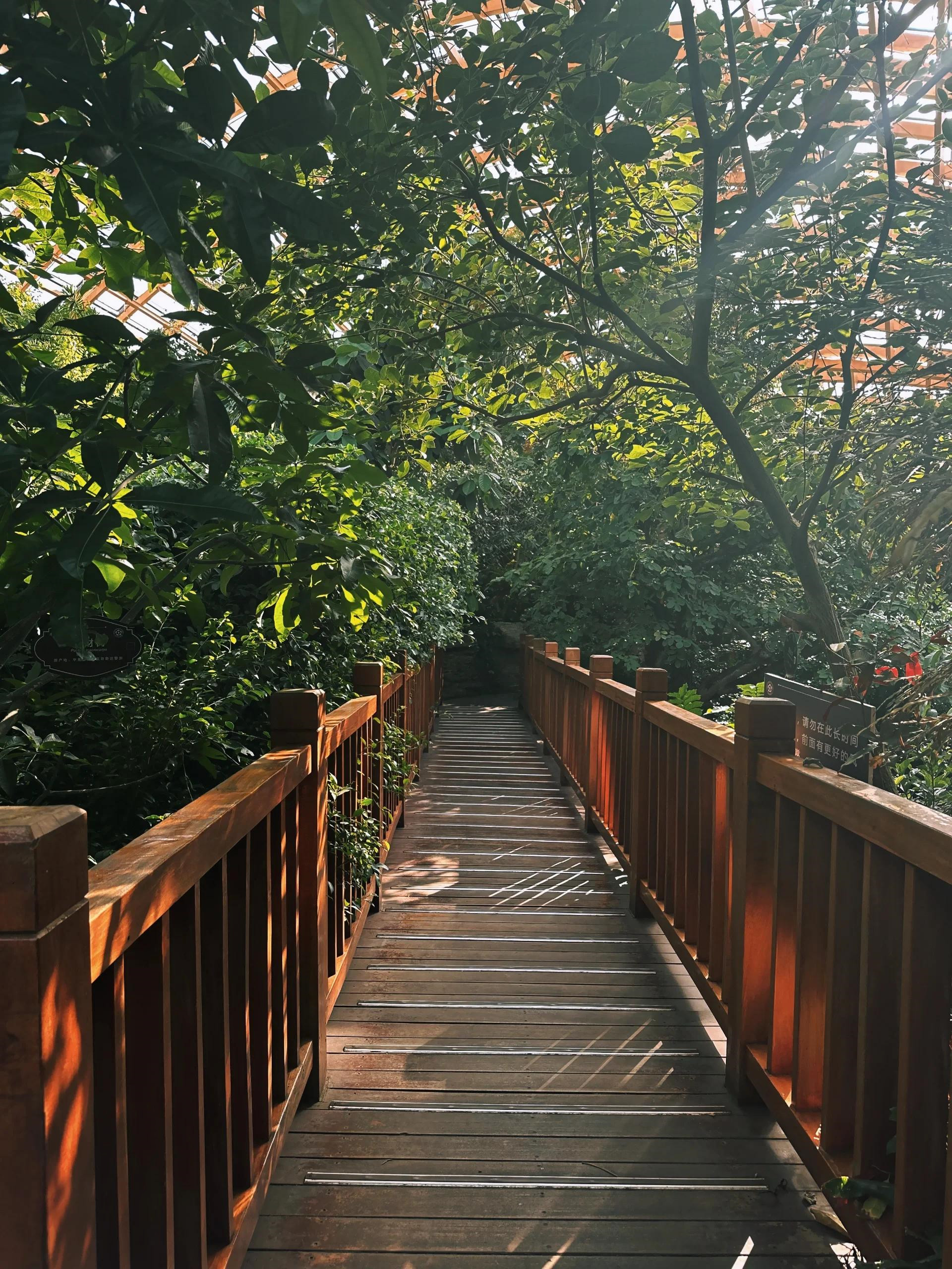 太原植物园景区图片图片