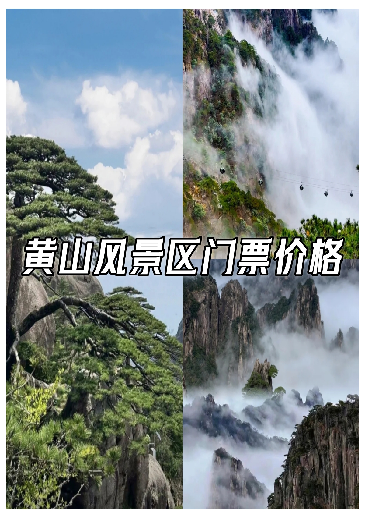 黄山风景区门票预订图片