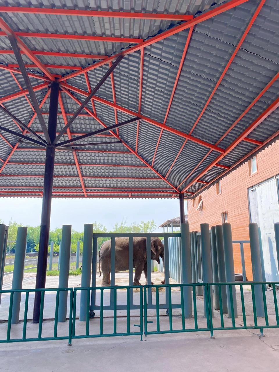 沧州动物园门票多少钱一张  门票价格,10元/人  沧州动物园,位于河北