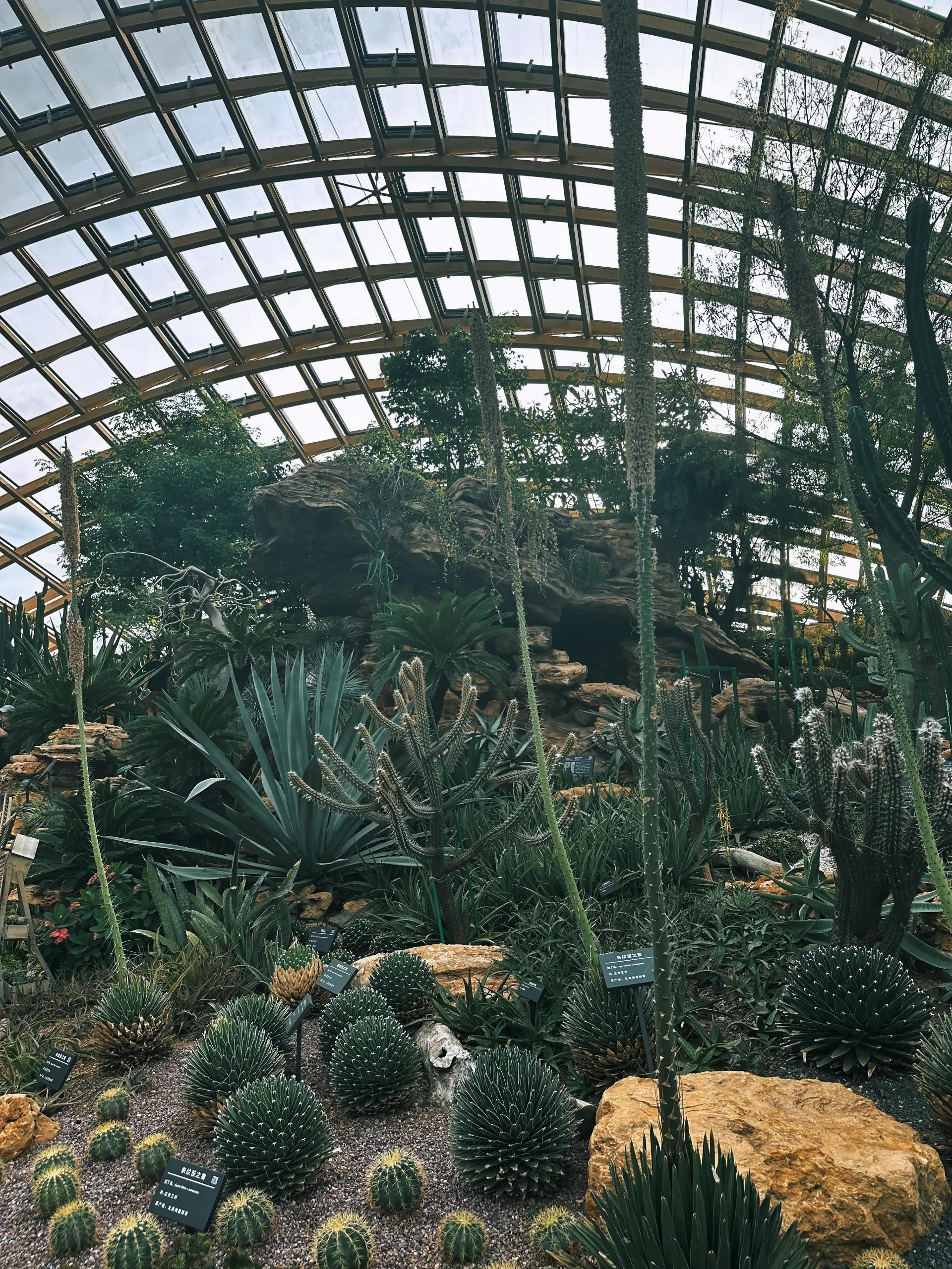 太原植物园位置图图片