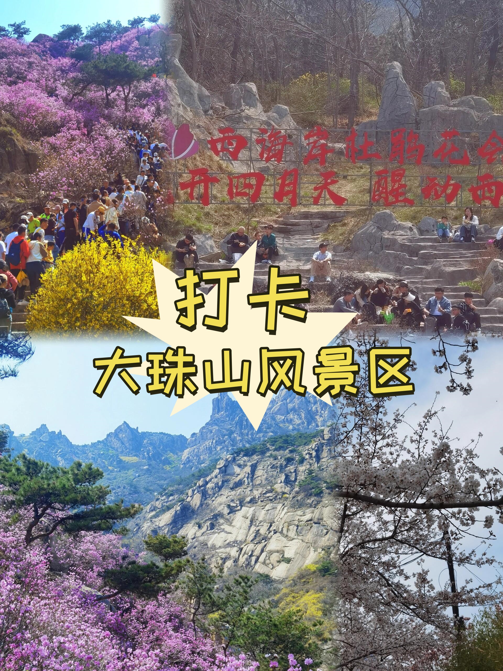 大珠山动物园门票图片