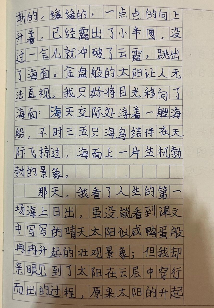 东级日出读后感图片