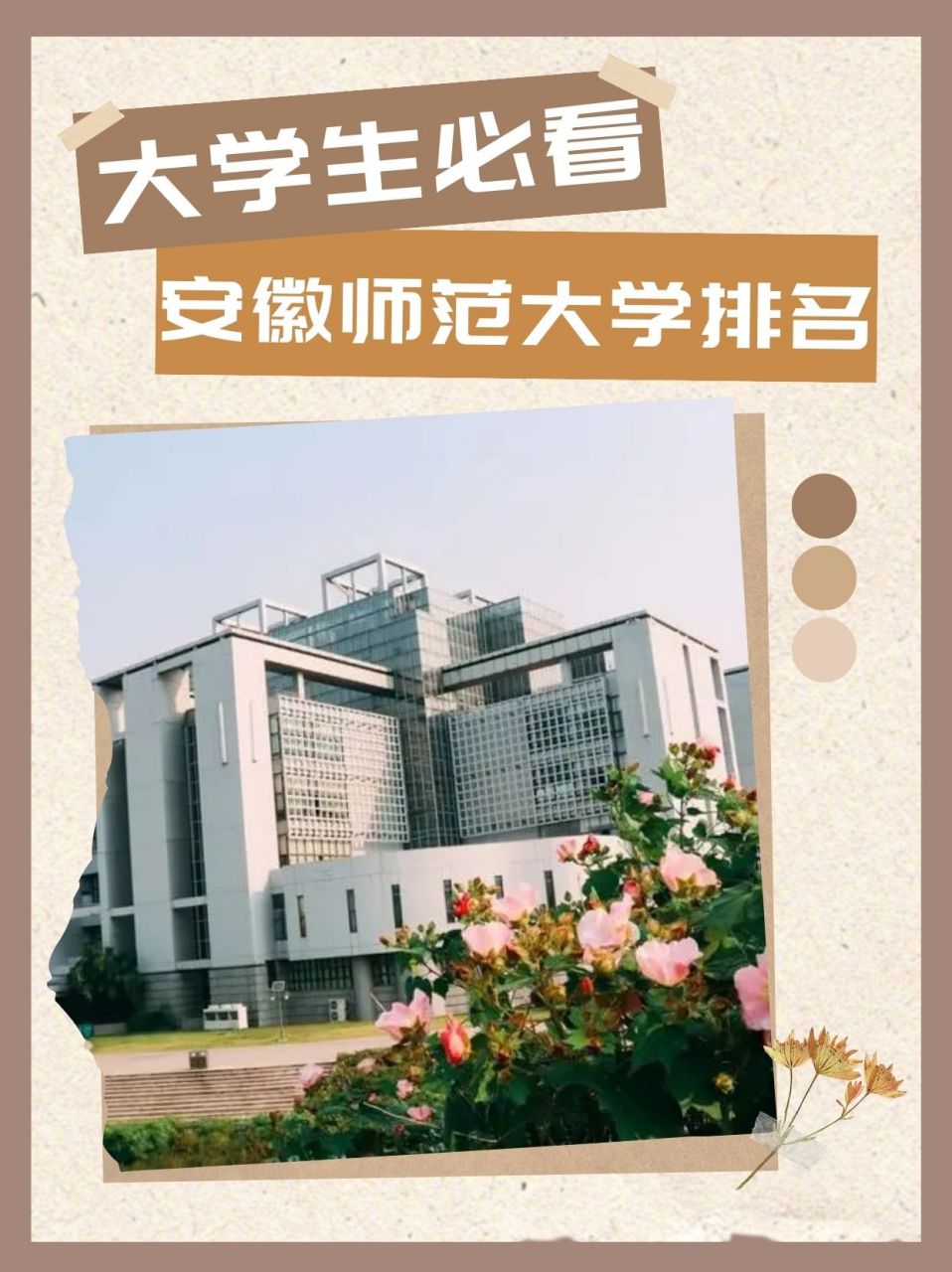 安徽师范大学排名图片