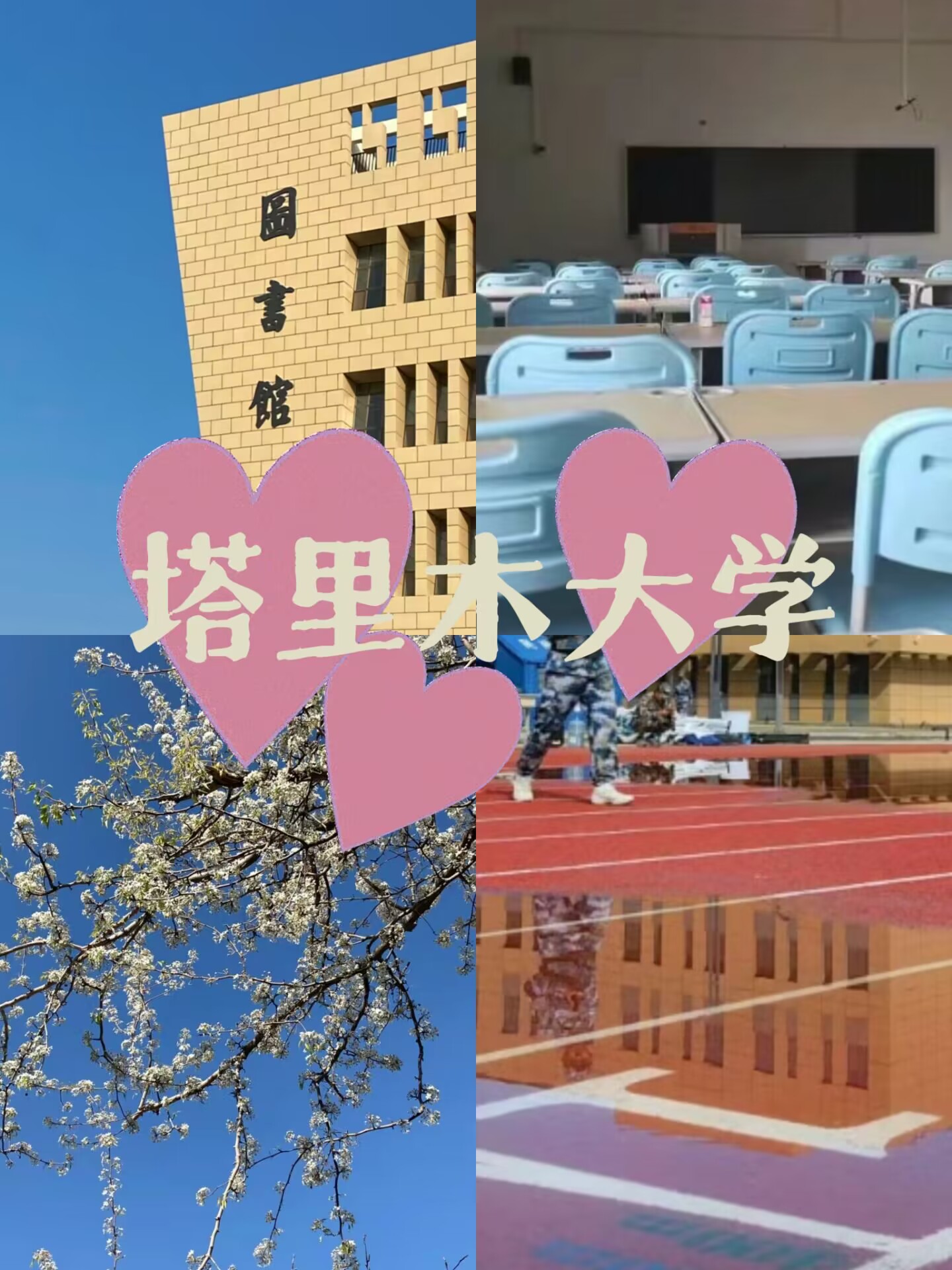 塔里木大学怎么样值得去吗?