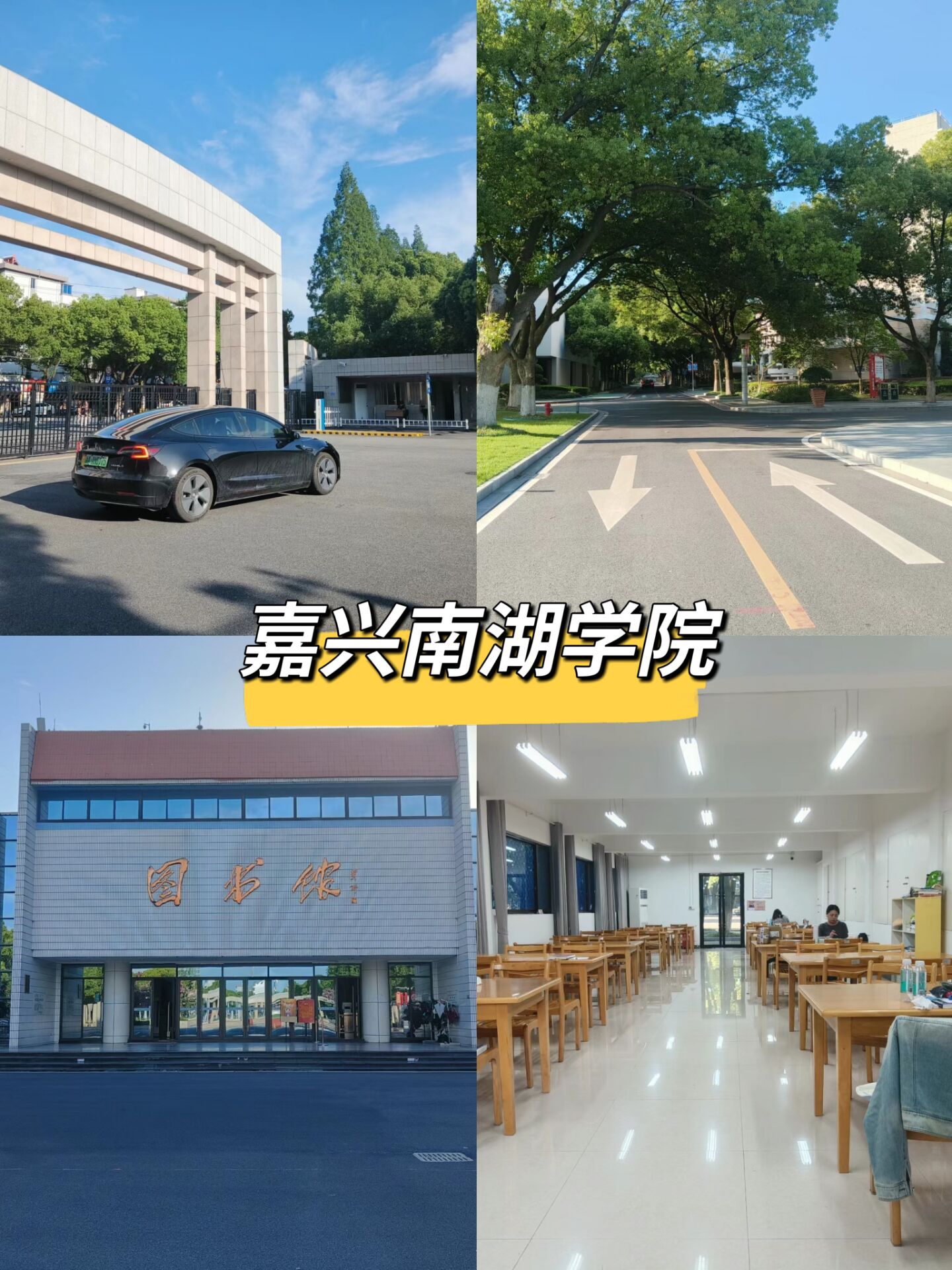 嘉兴学院南湖学院越秀图片