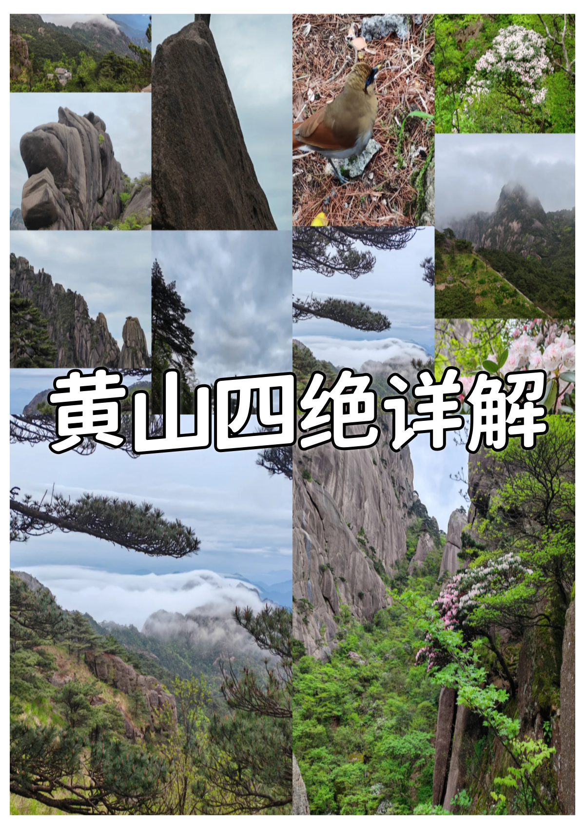 黄山景点详细介绍图片