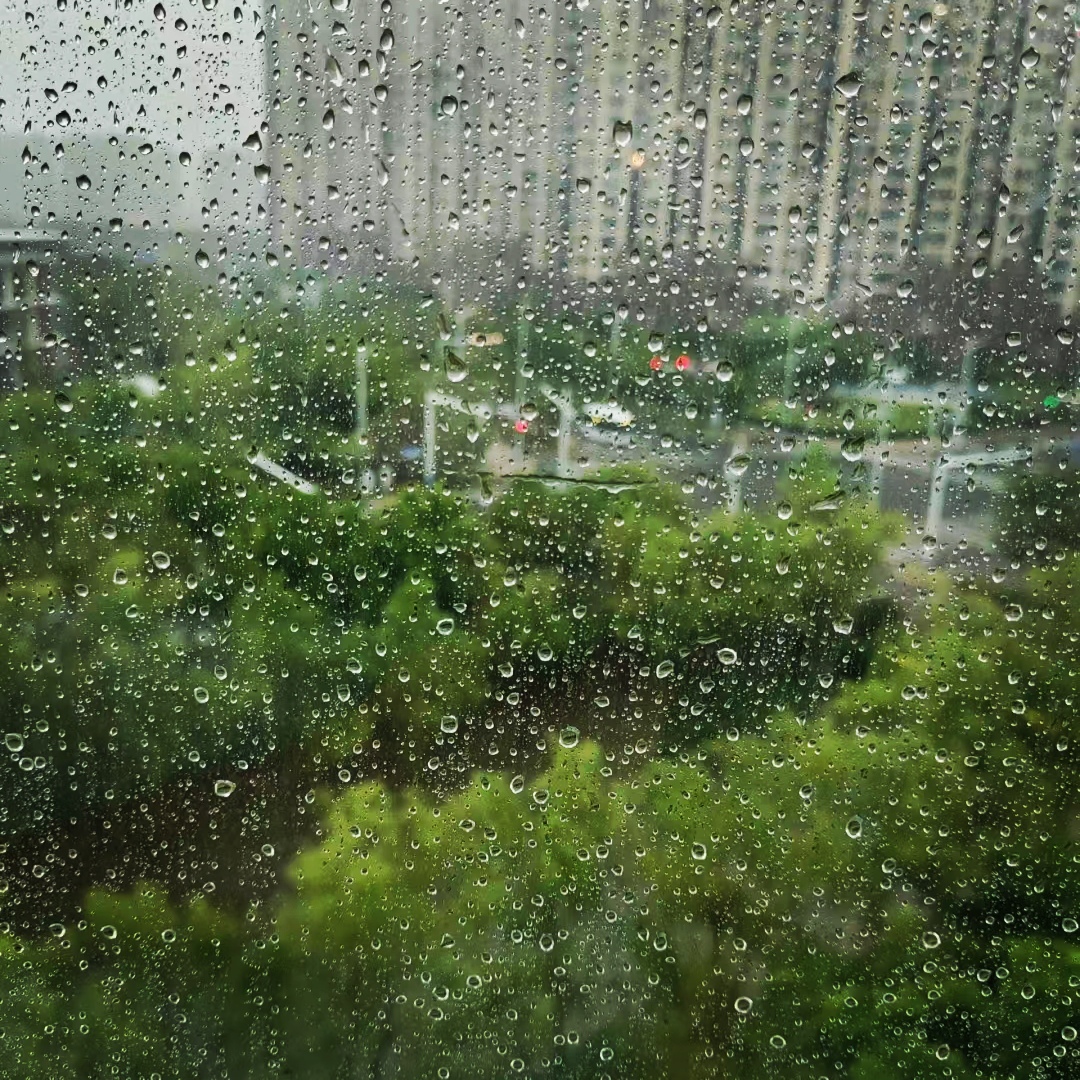 五一假期,雨一直下,但你知道吗?这阴雨绵绵的天气,其实带来了超级不一