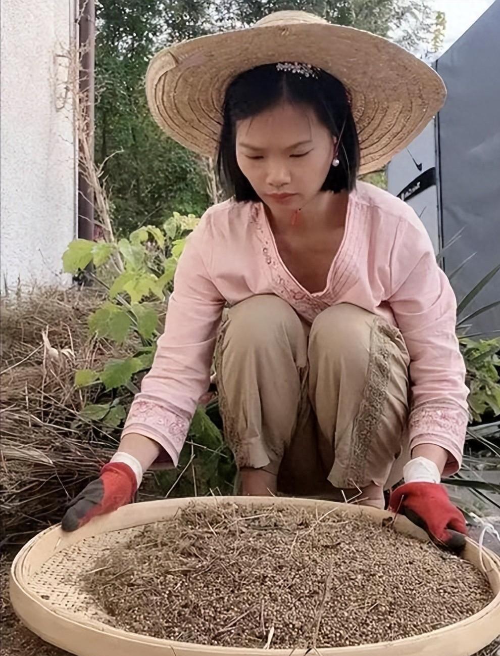 农村三妹儿的个人主页图片