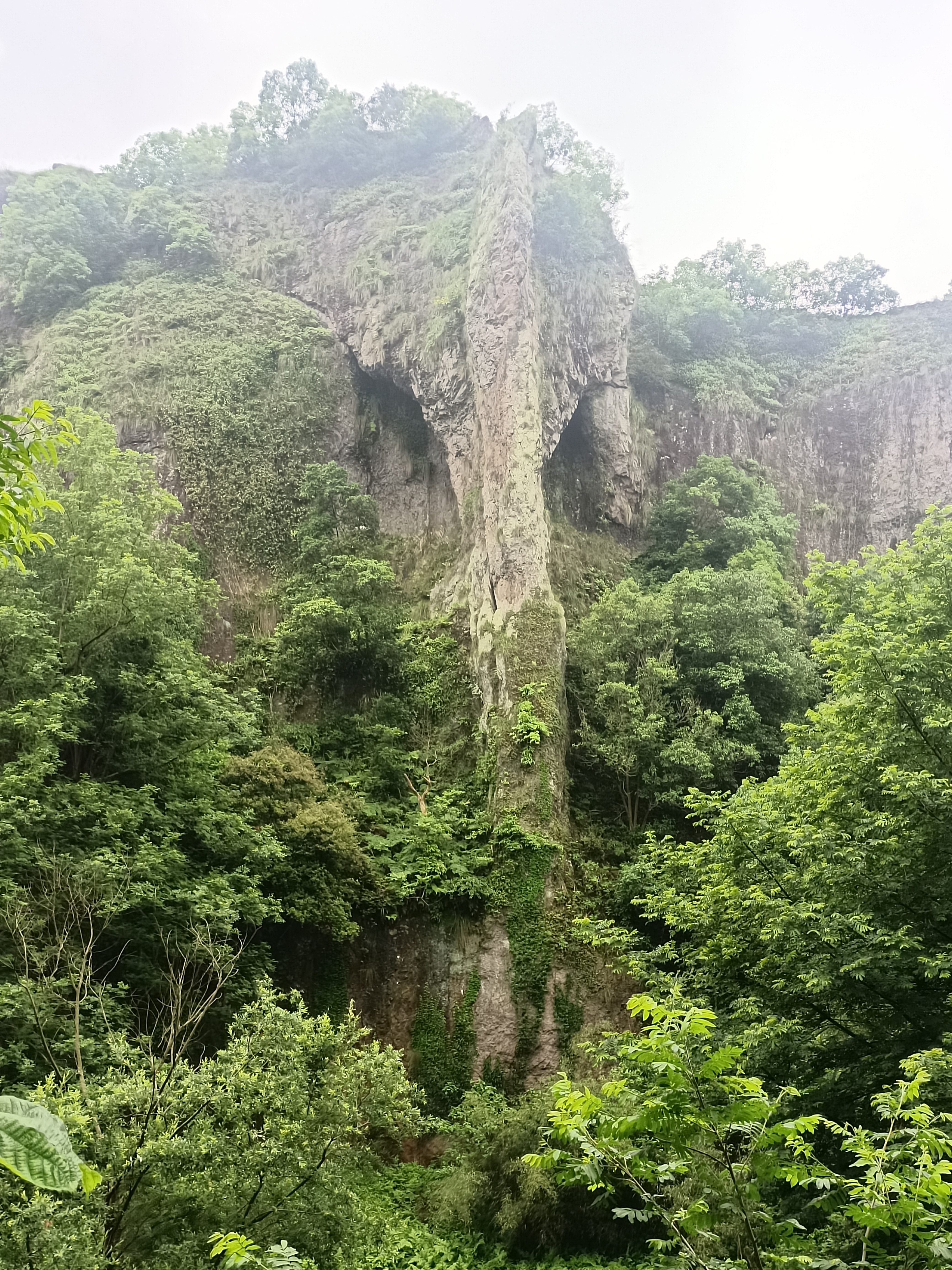 张家渡象鼻岩图片