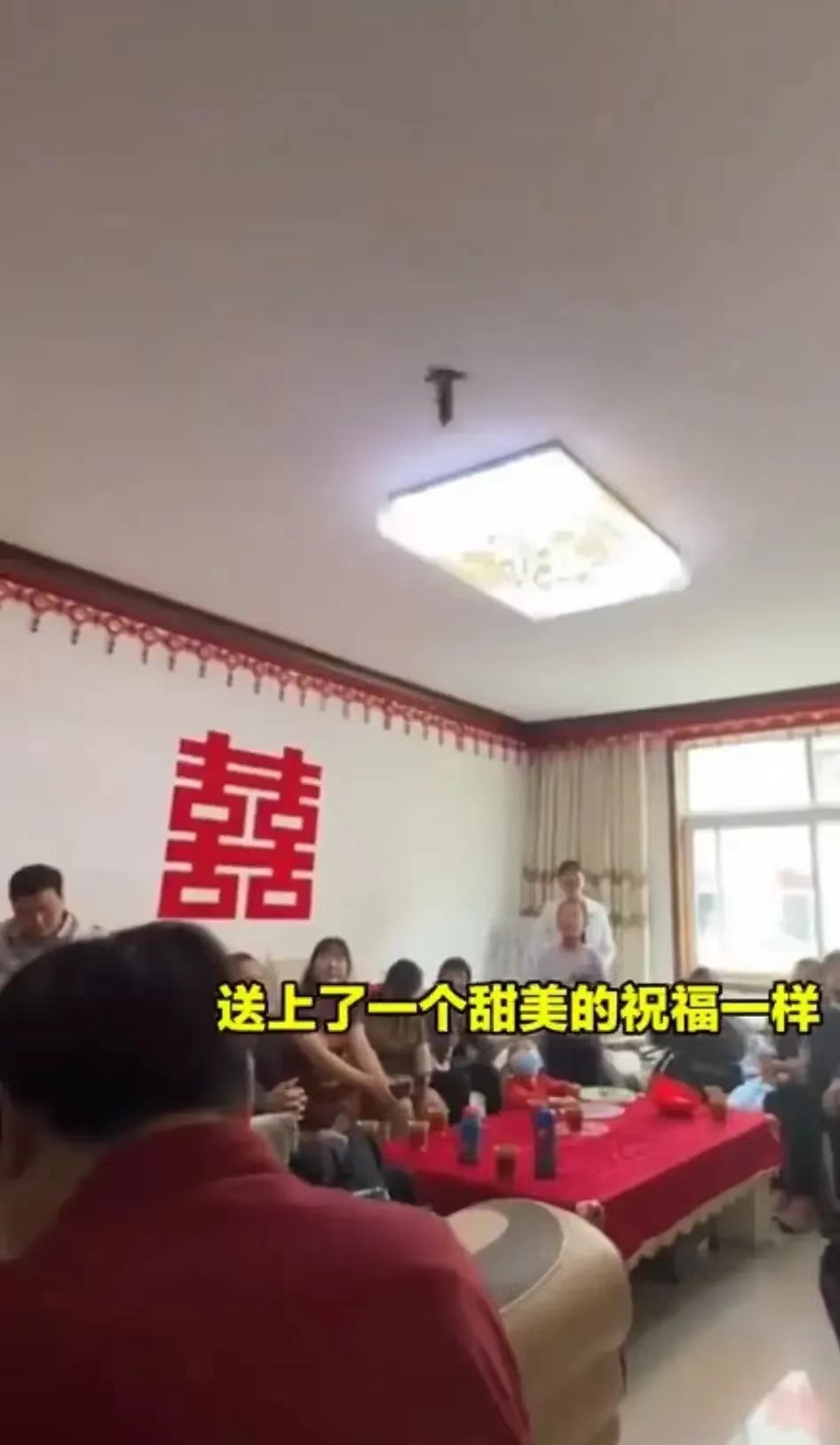 一对新人结婚,一对燕子飞进婚房,接下来的一幕让人羡慕不已.