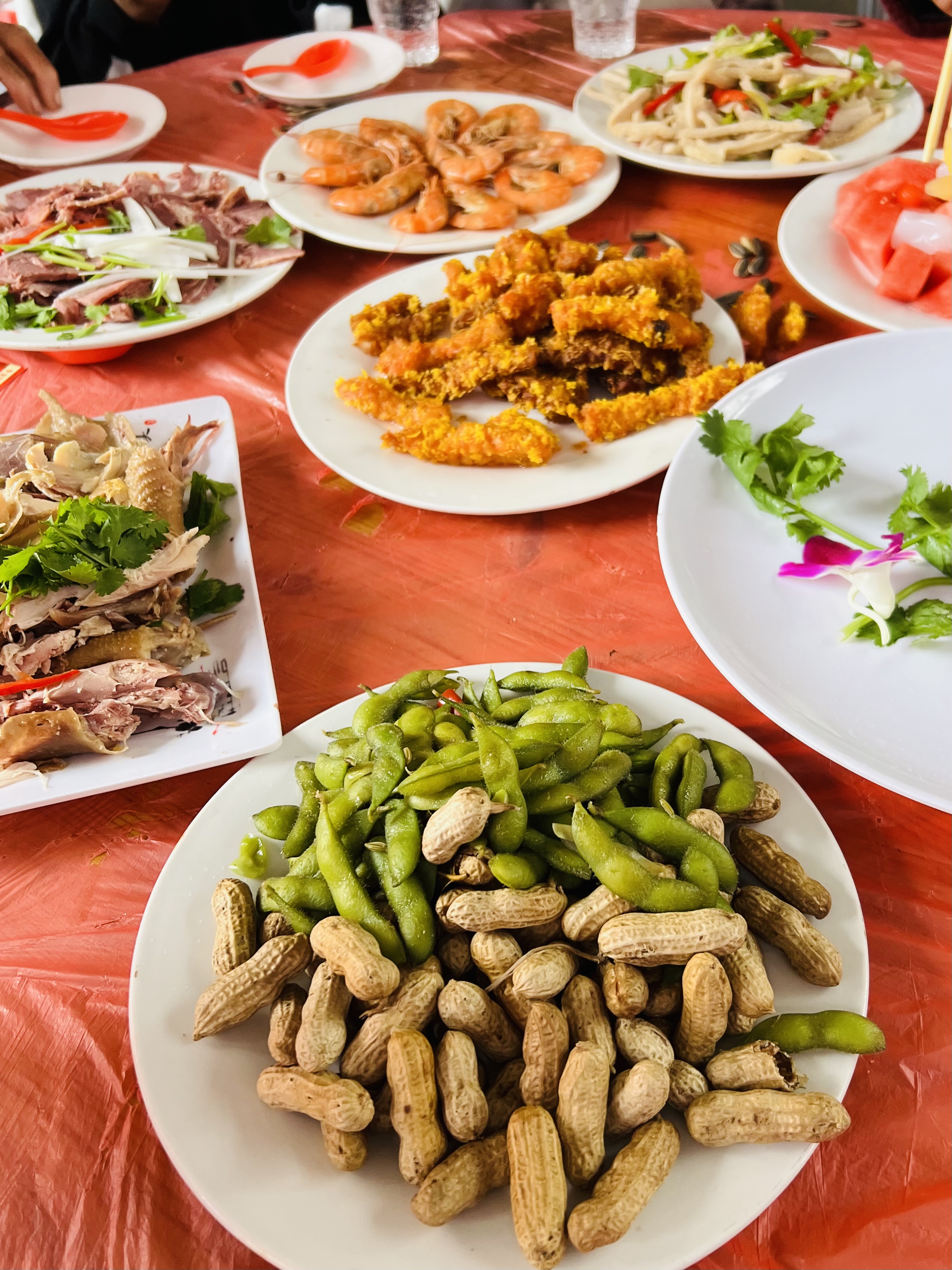 河南农村大席菜,豫东地区的婚宴,搂席!恁看这大席怎么样?