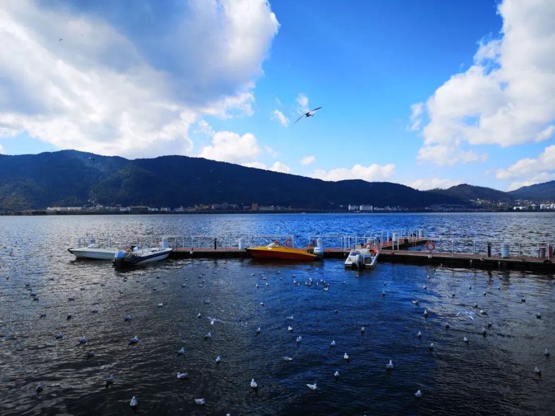 最新云南昆明旅游超全攻略,分享必打卡景点 特色美食