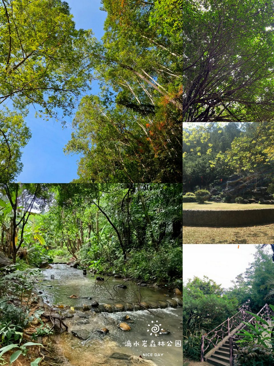 没问题,滴水岩森林公园就是你的绝佳选择!这个藏在广