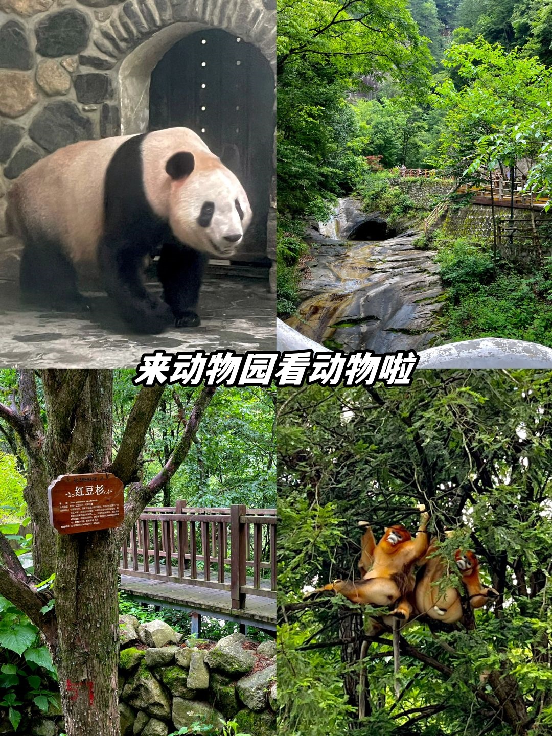 就能来一场2天1夜的休闲之旅哦,被群山环绕的绿色淹没,超级凉爽!