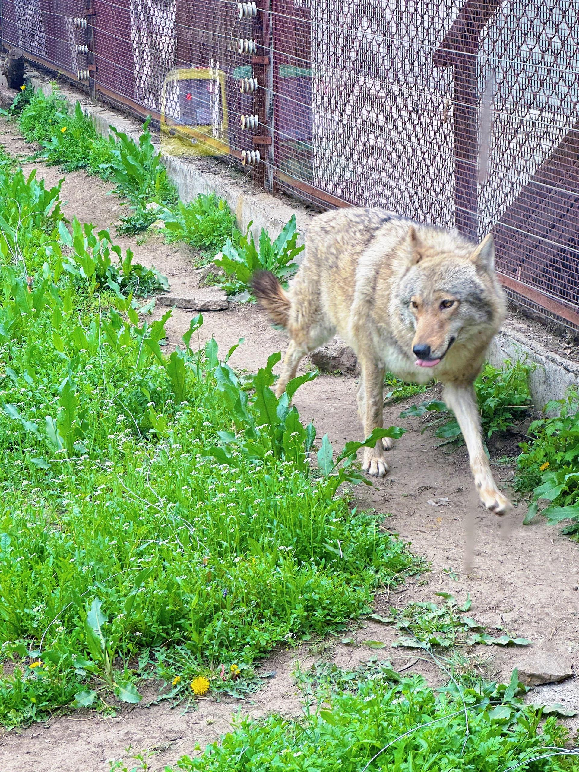停车:公园对面停车场(停车20)  园内交通: 1.