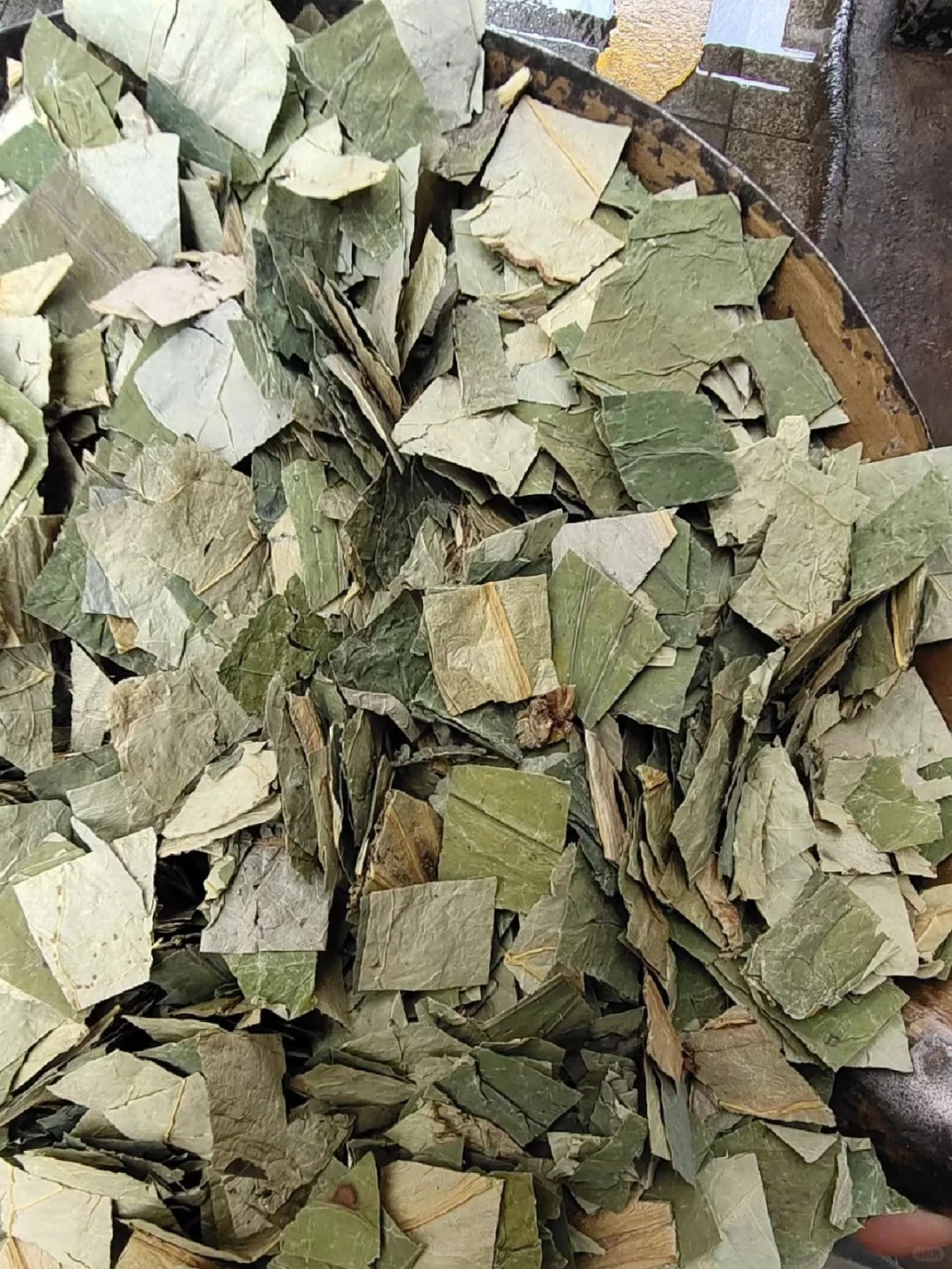 一个小方子,两月轻减24斤