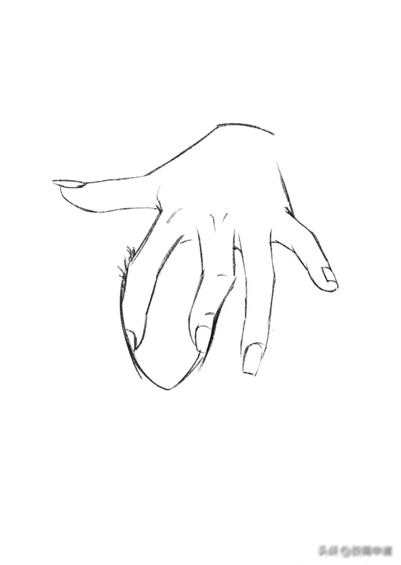 在我们追寻宇宙奥秘的旅途中,常常忽略了身体中最为