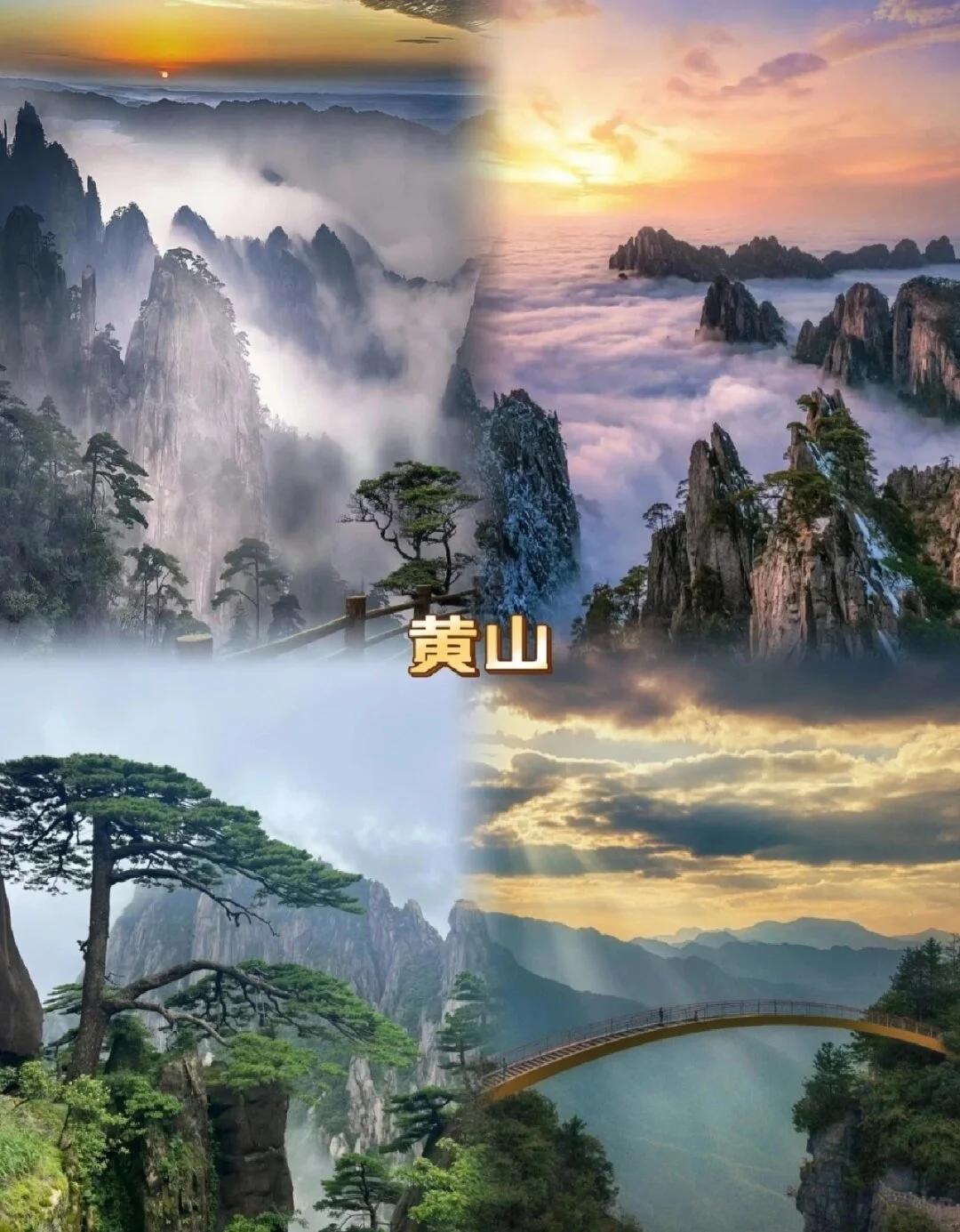 迎客松的优雅身姿,光明顶的雄伟壮丽,还有日出的震撼美景,黄山绝对是