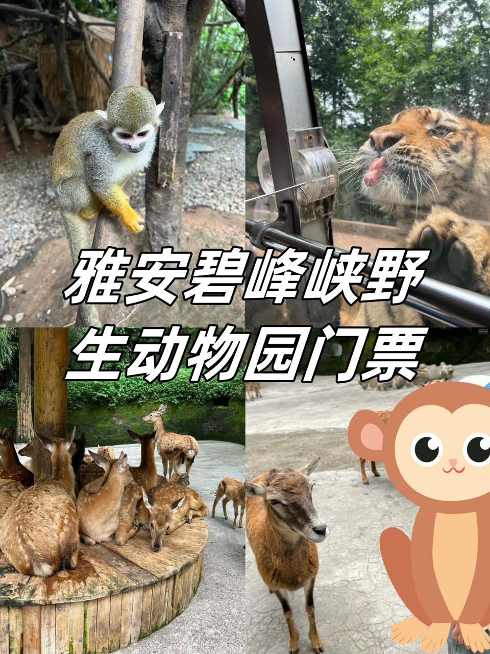 雅安碧峰峡野生动物园门票 	 门票方面,成人票是 180 元,1.