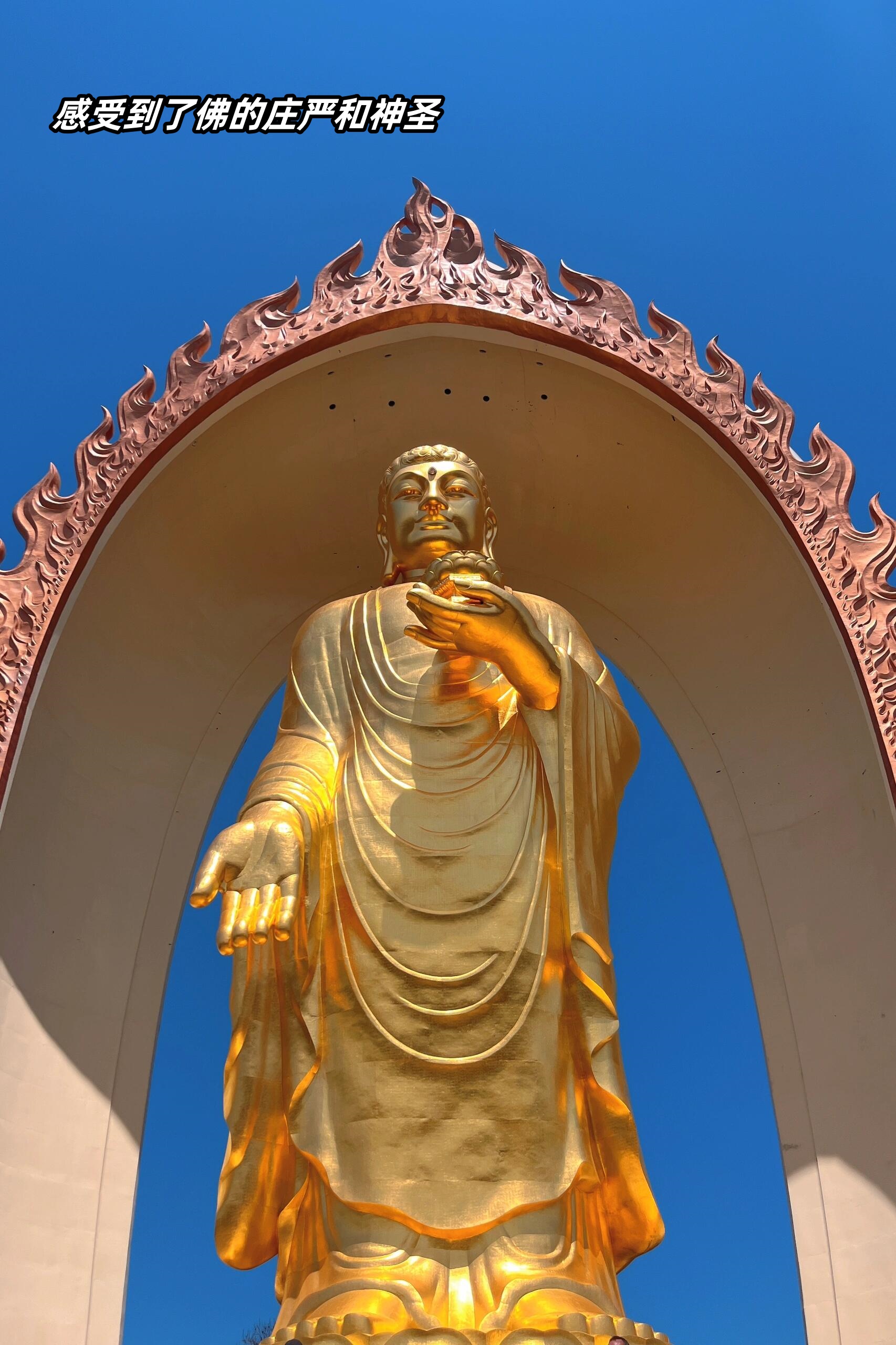 东林大佛一日游与佛共度的心灵之旅