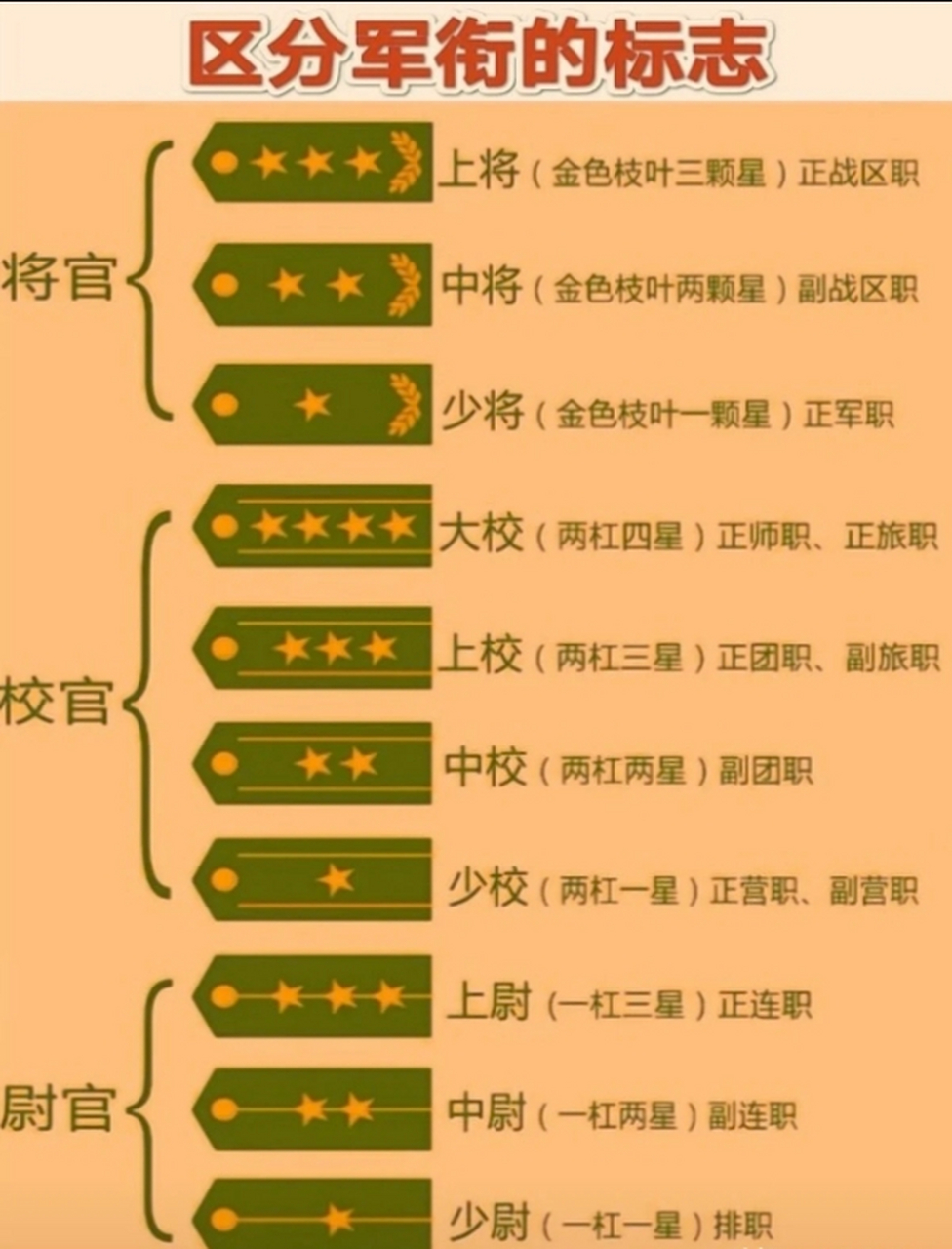 如何从肩章区分军衔