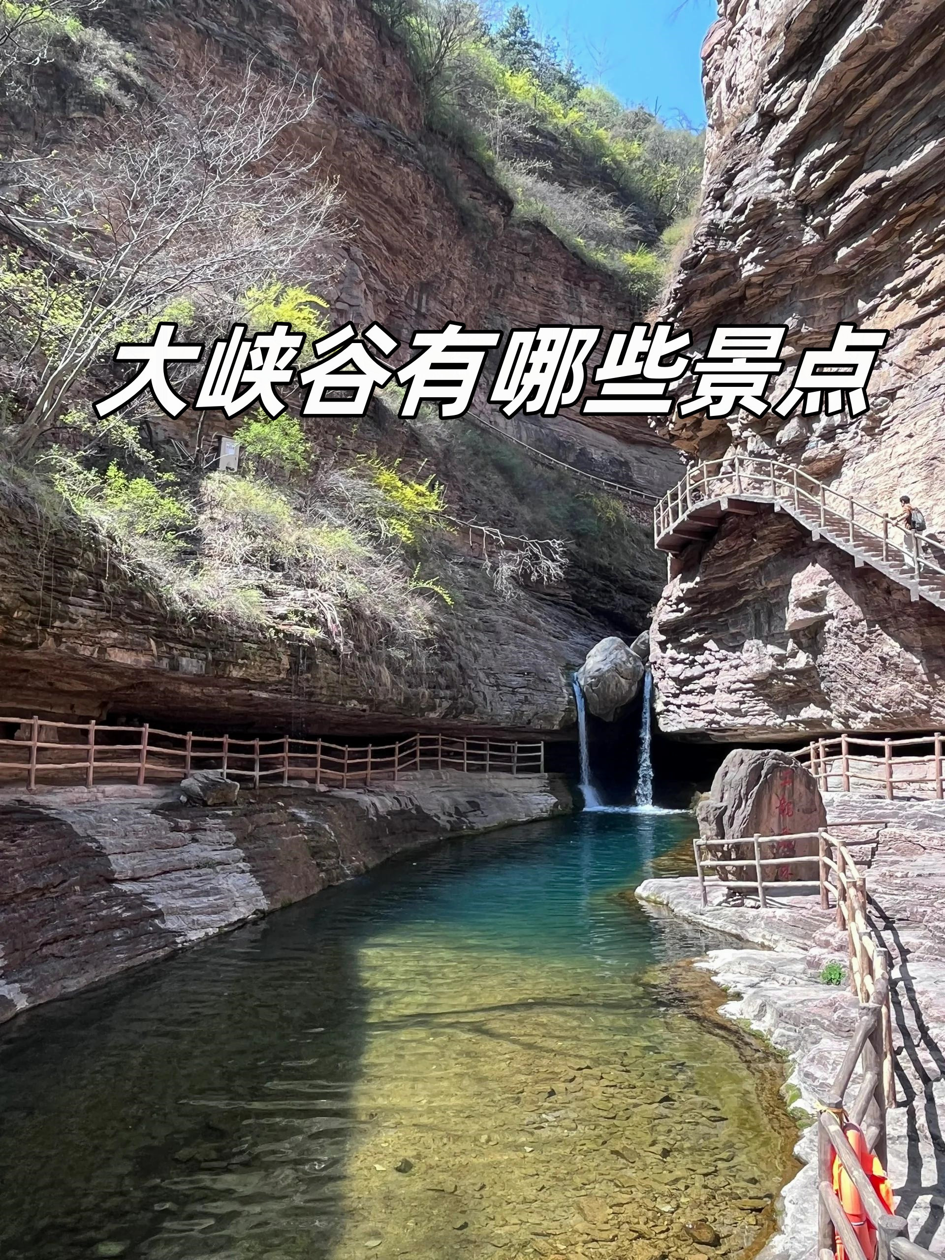 南川天山坪大峡谷简介图片