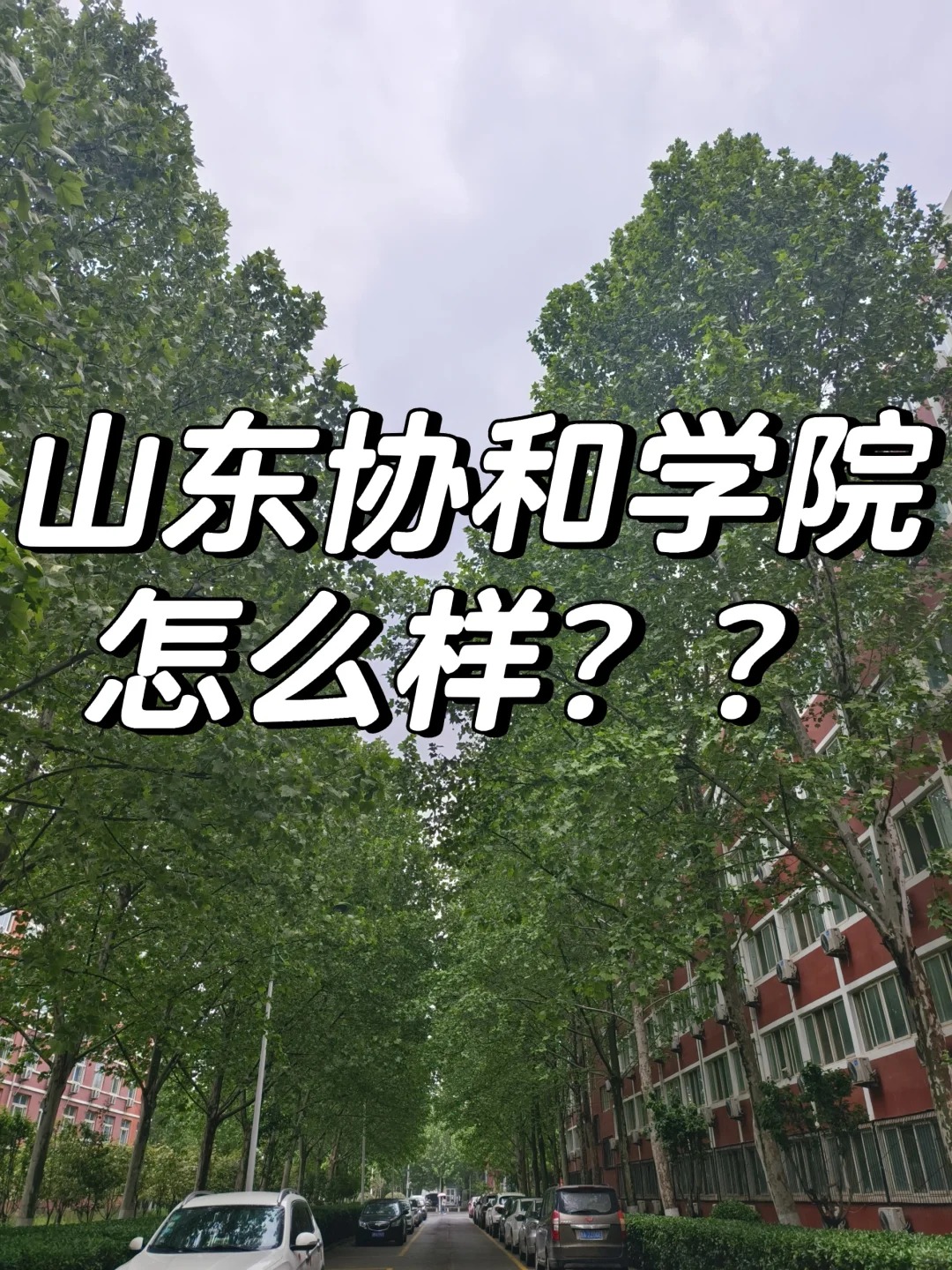 山东协和学院地理位置图片