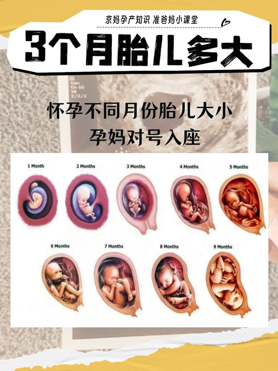 [火焰] 怀孕三个月肚子有多大?