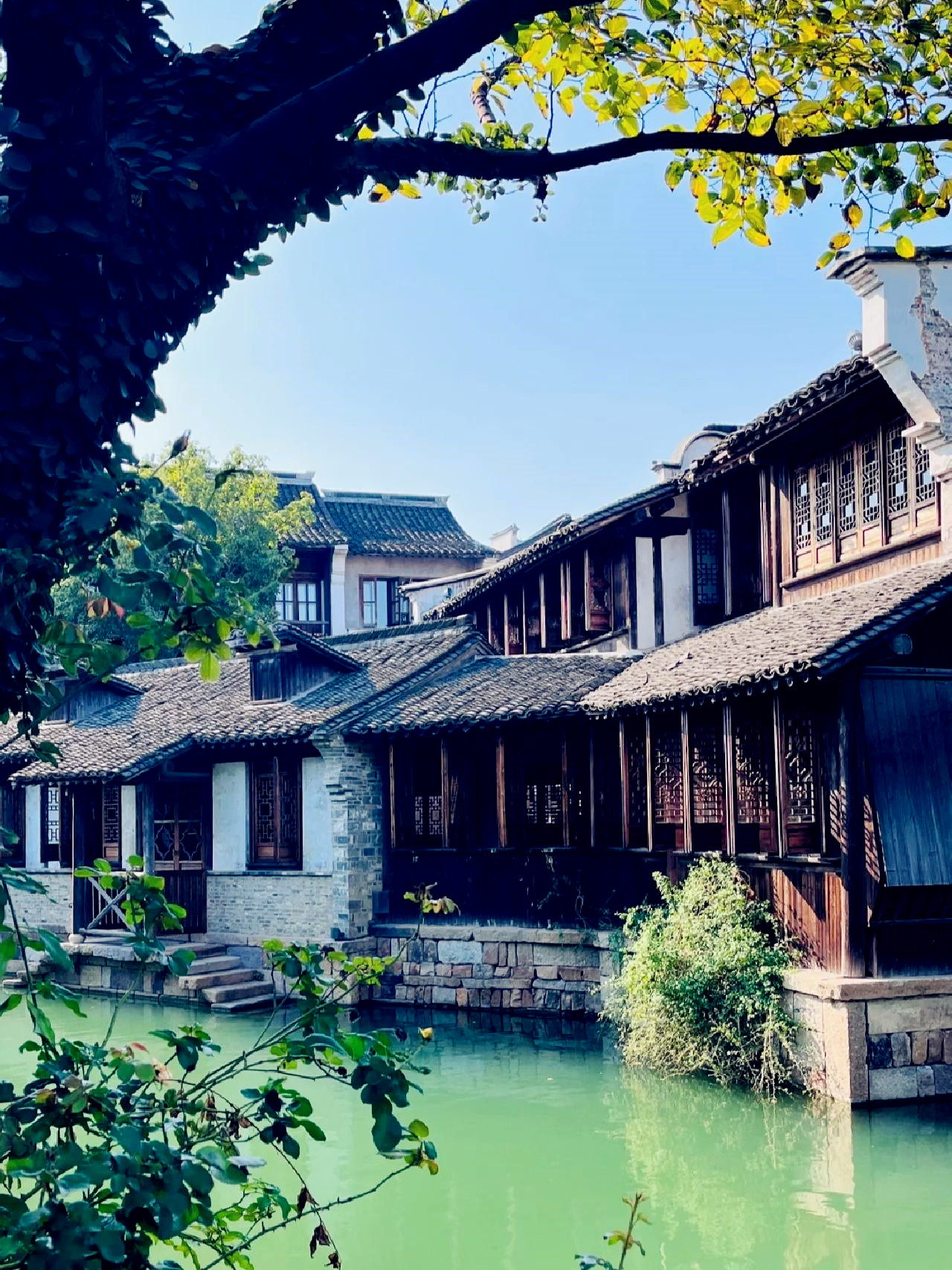 桐乡旅游攻略必去景点  美到炸裂的古镇,真的是桐乡必去的景点我跟我