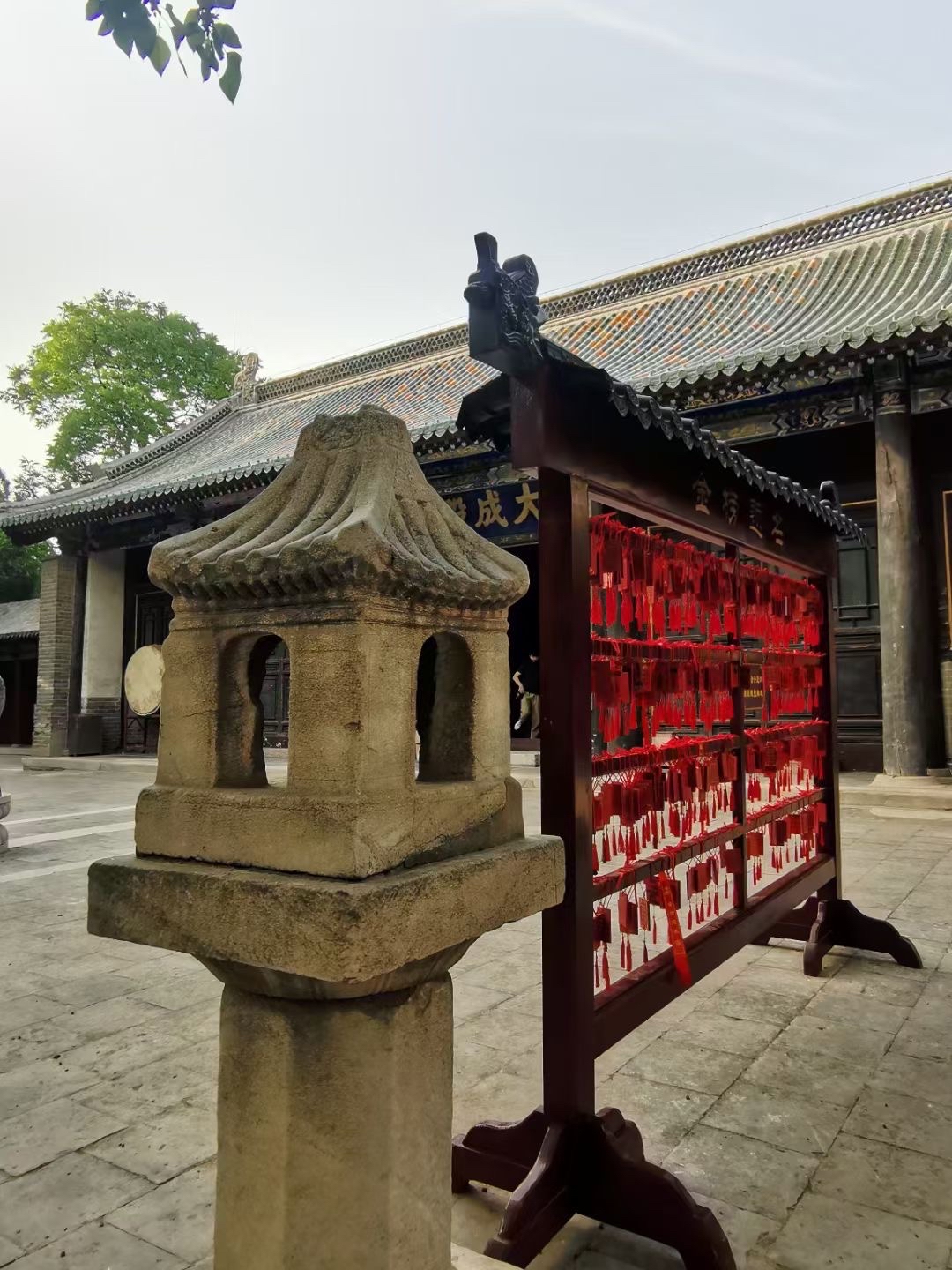 保定～定州文庙院里有苏东坡任定州太守时种的龙凤双槐