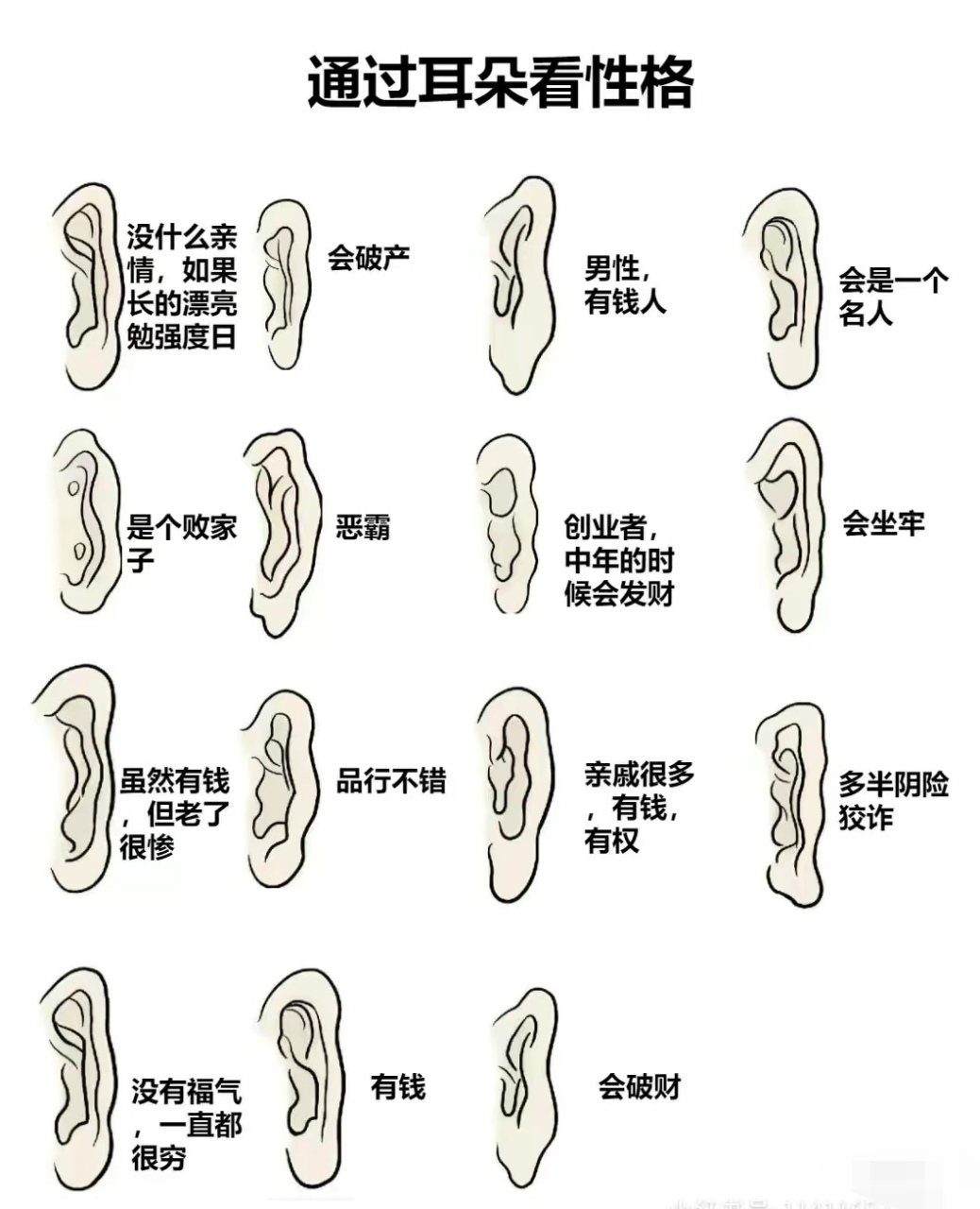 耳朵的类型 种类图片