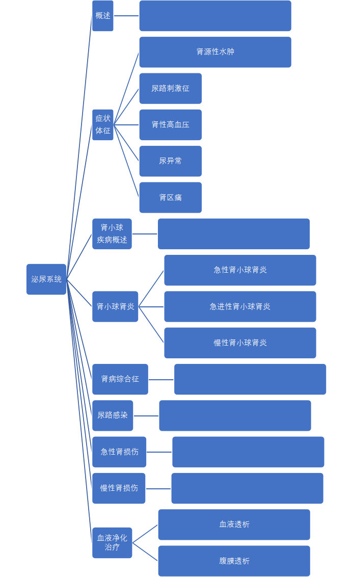 泌尿系统思维导图简单图片