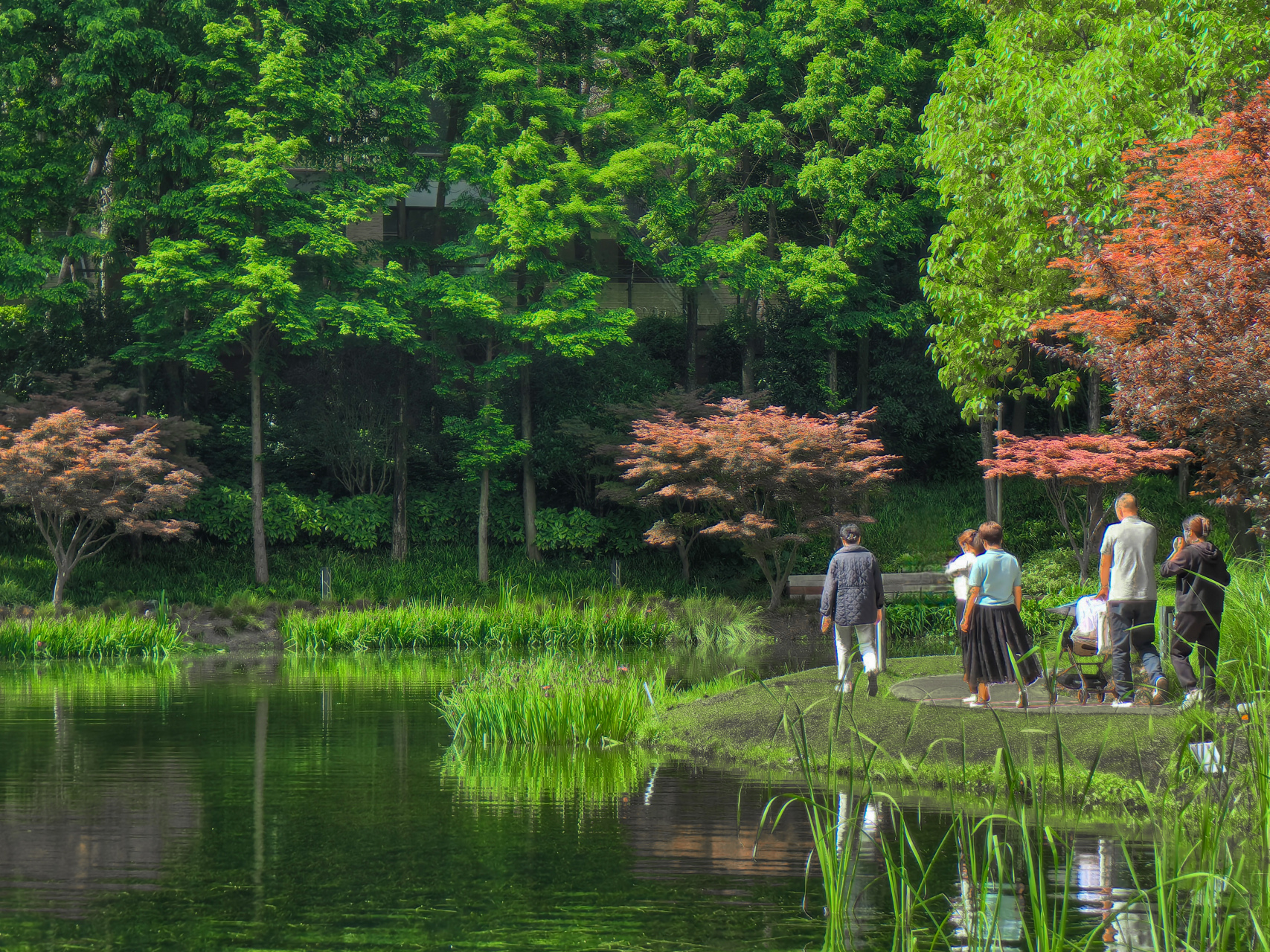成都红石公园,绿树成荫,湖水清澈见底,风景美如画.