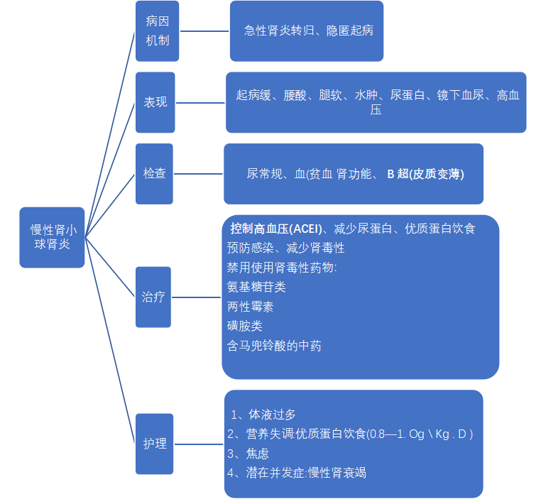 排泄护理知识导图图片