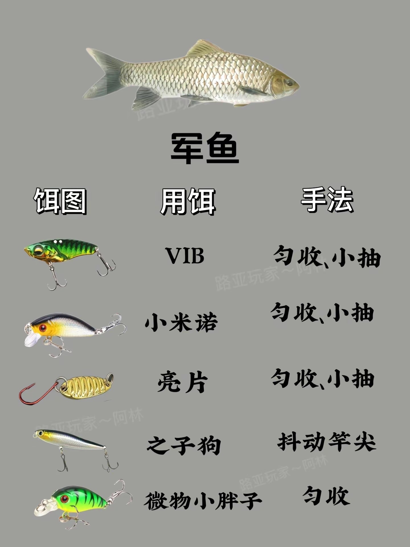路亚鱼种用饵及操作手法,感谢点赞关注,谢谢!