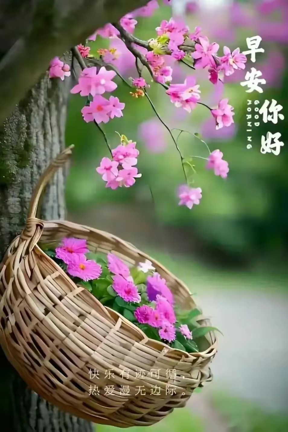 早安问候的暖心文字   早安,新的一天,愿你拥有阳光般的心情,事事顺心