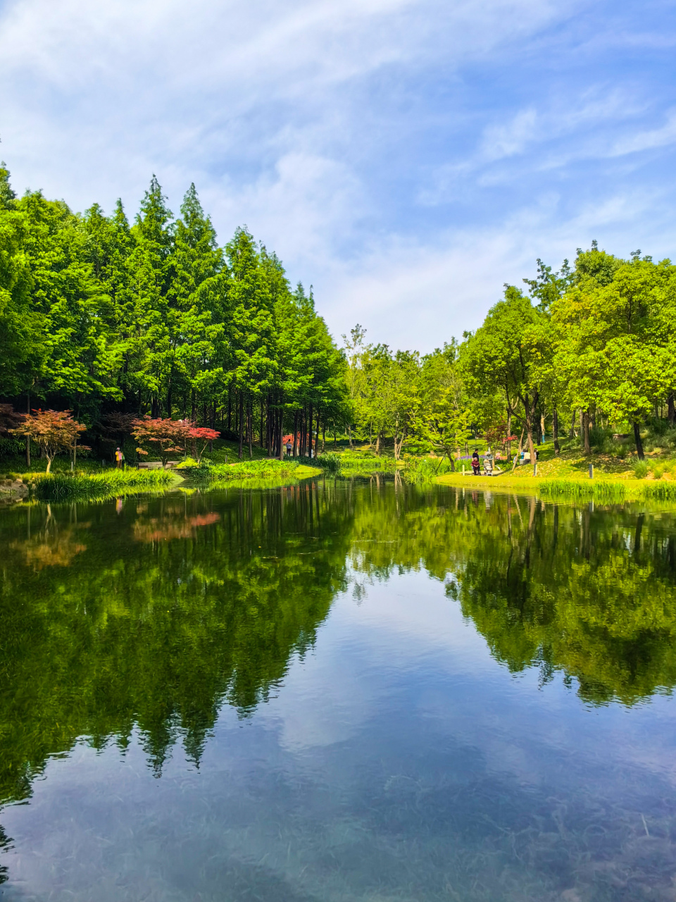 五一假期来到成都红石公园,湖水清澈,倒映着蓝天白云,湖边绿树成荫