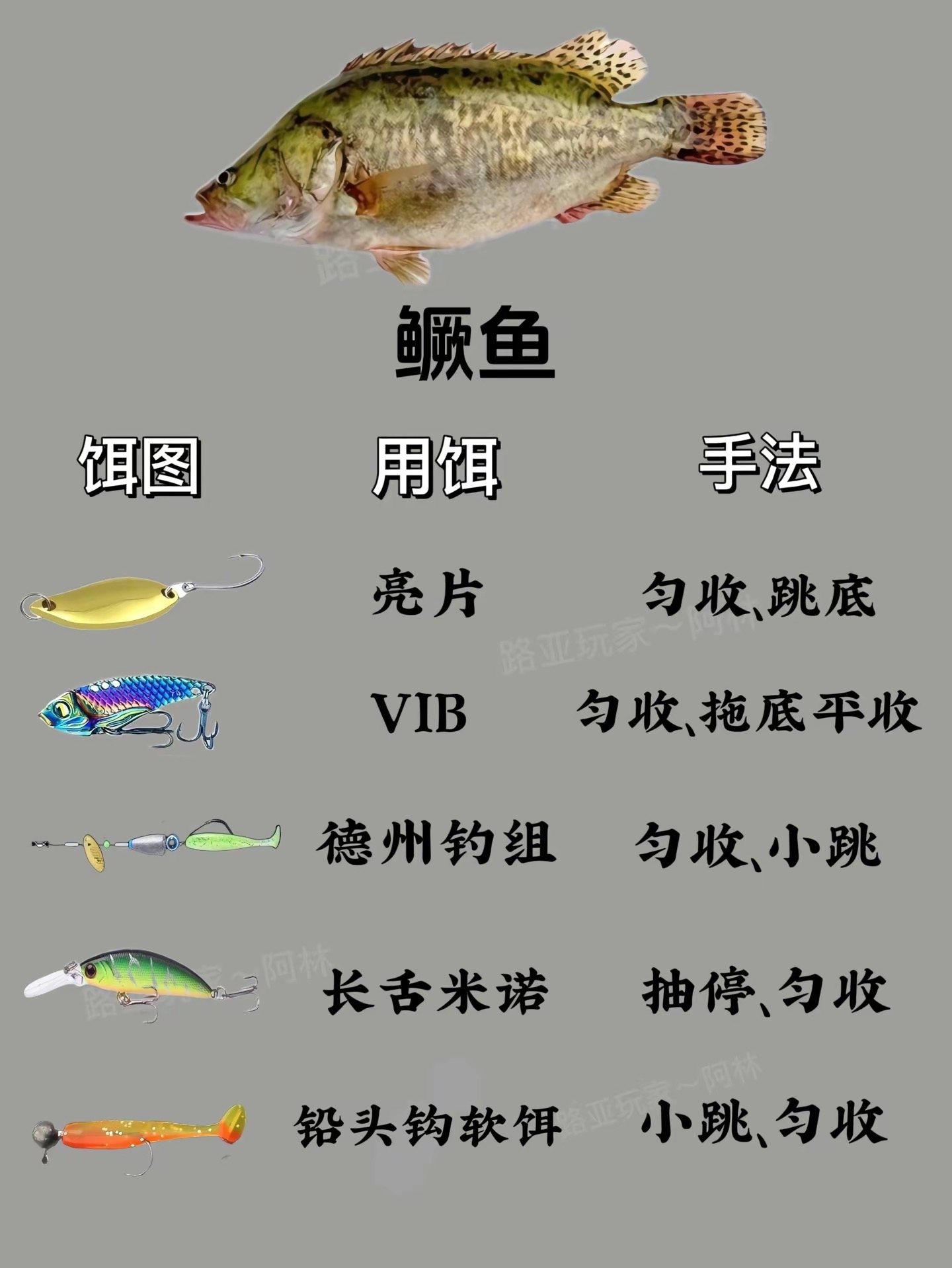路亚鱼种用饵及操作手法,感谢点赞关注,谢谢!