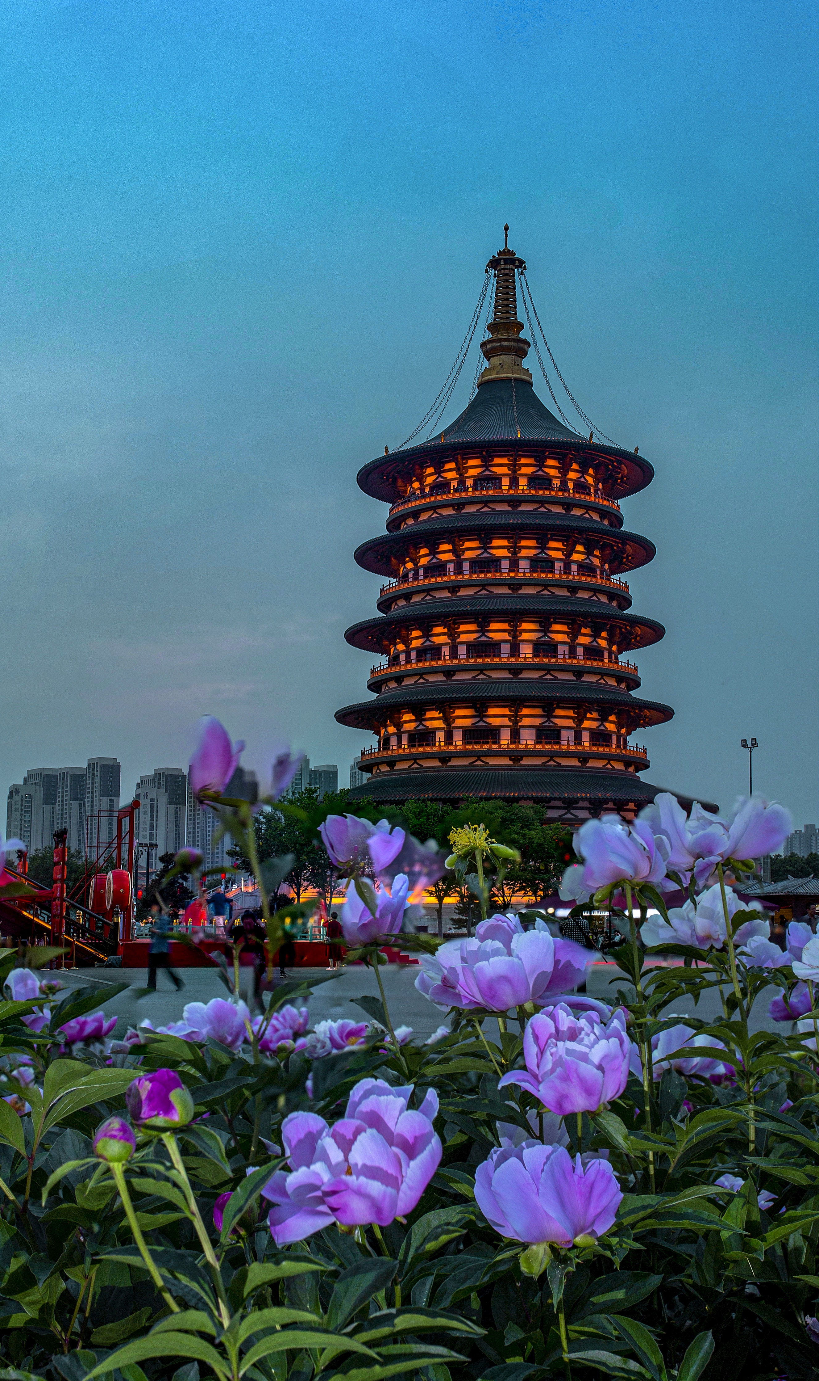 每当春暖花开,洛阳又回到了美丽的天堂.