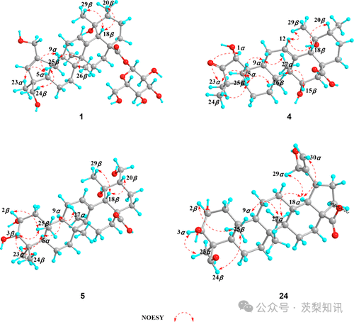刺梨中具有多种碳骨架的抗炎和α-葡萄糖苷酶抑制性的三萜类化合物