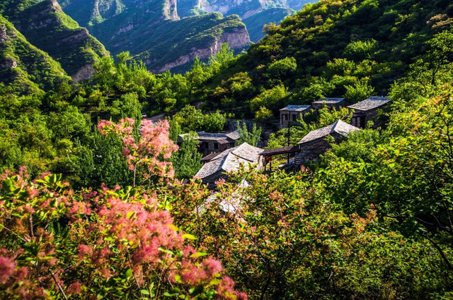 坡峰岭景区介绍图片