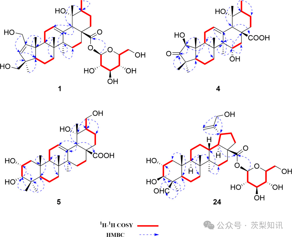 刺梨中具有多种碳骨架的抗炎和α-葡萄糖苷酶抑制性的三萜类化合物