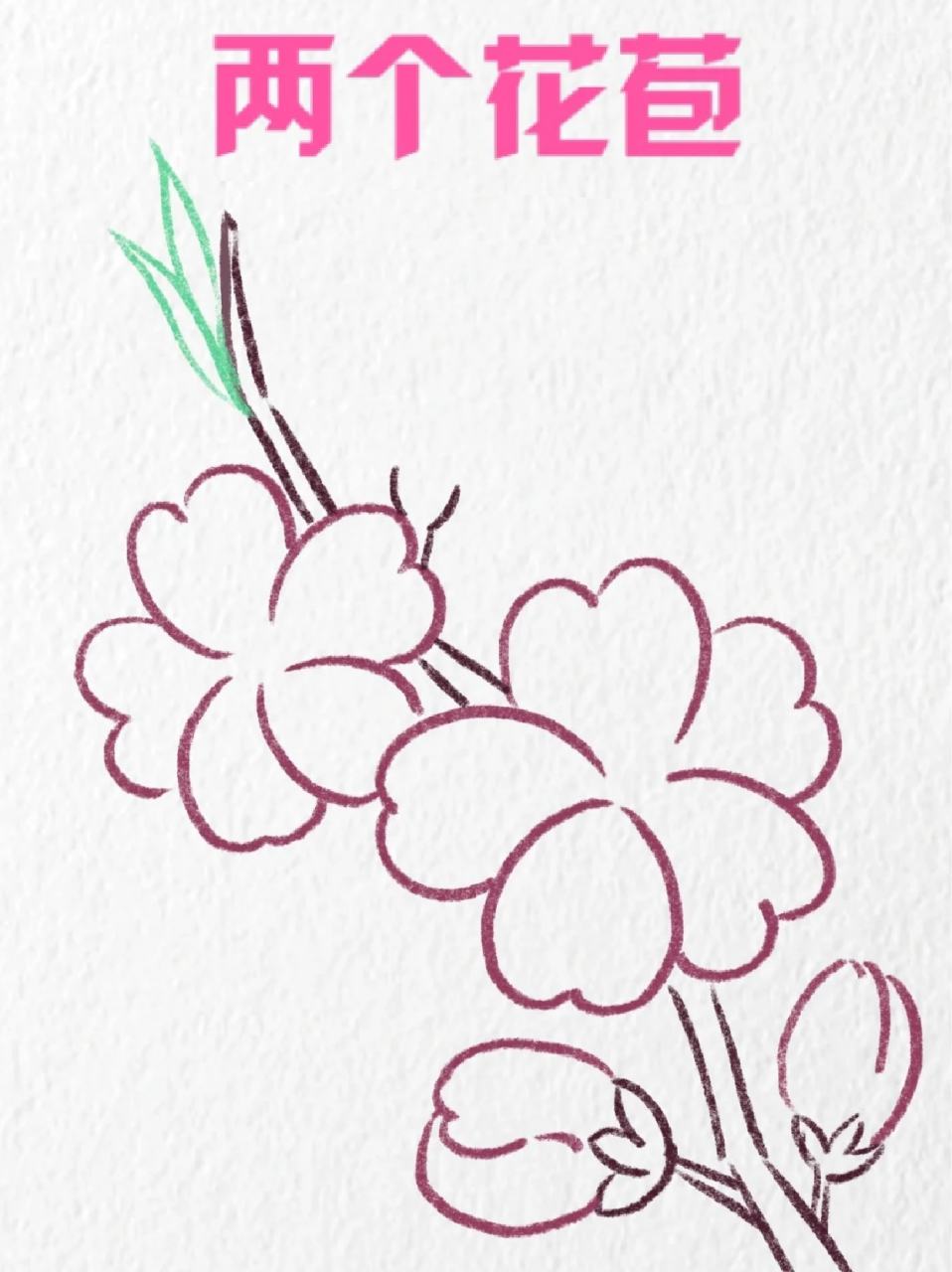 桃花简笔画 96我个人认为春天最美的就是桃花了,这是中国人的姻缘花