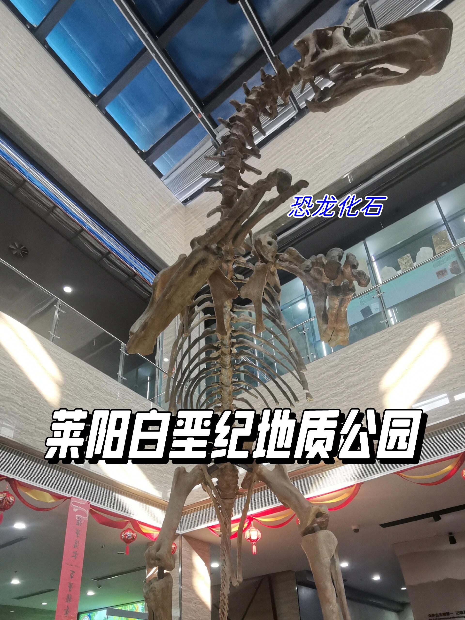 莱阳博物馆攻略来啦!
