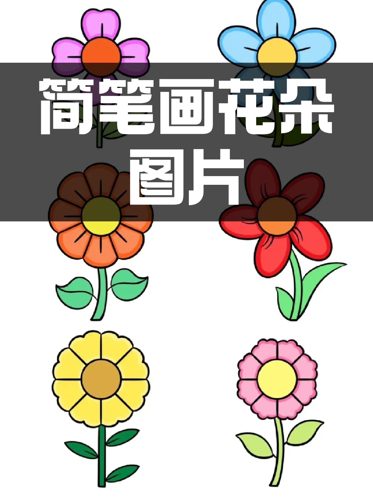 简笔画花朵图片